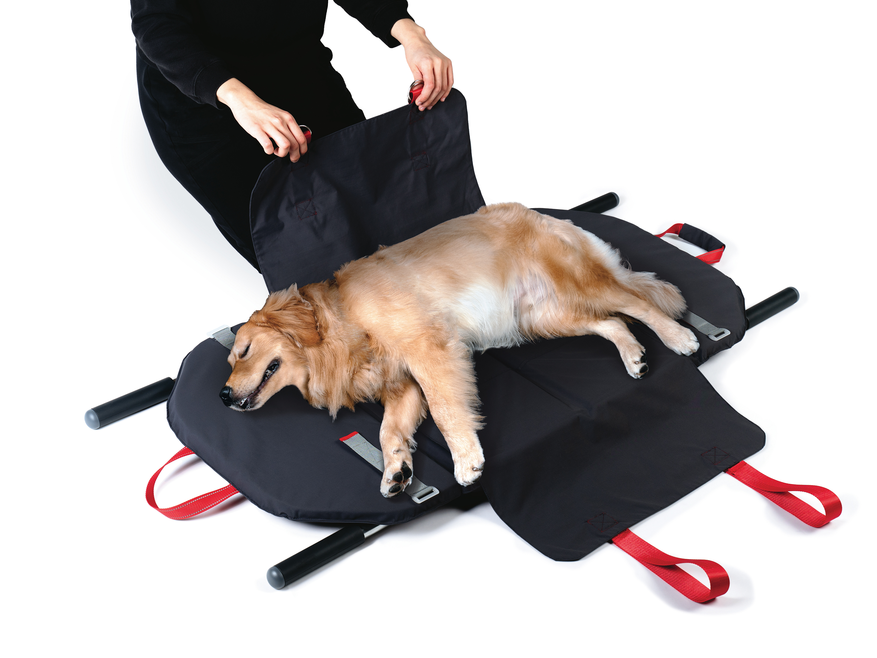 REVZ -  Foldable & Deformable Pet Stretcher