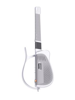 TemPolor Melo-D Smart Guitar