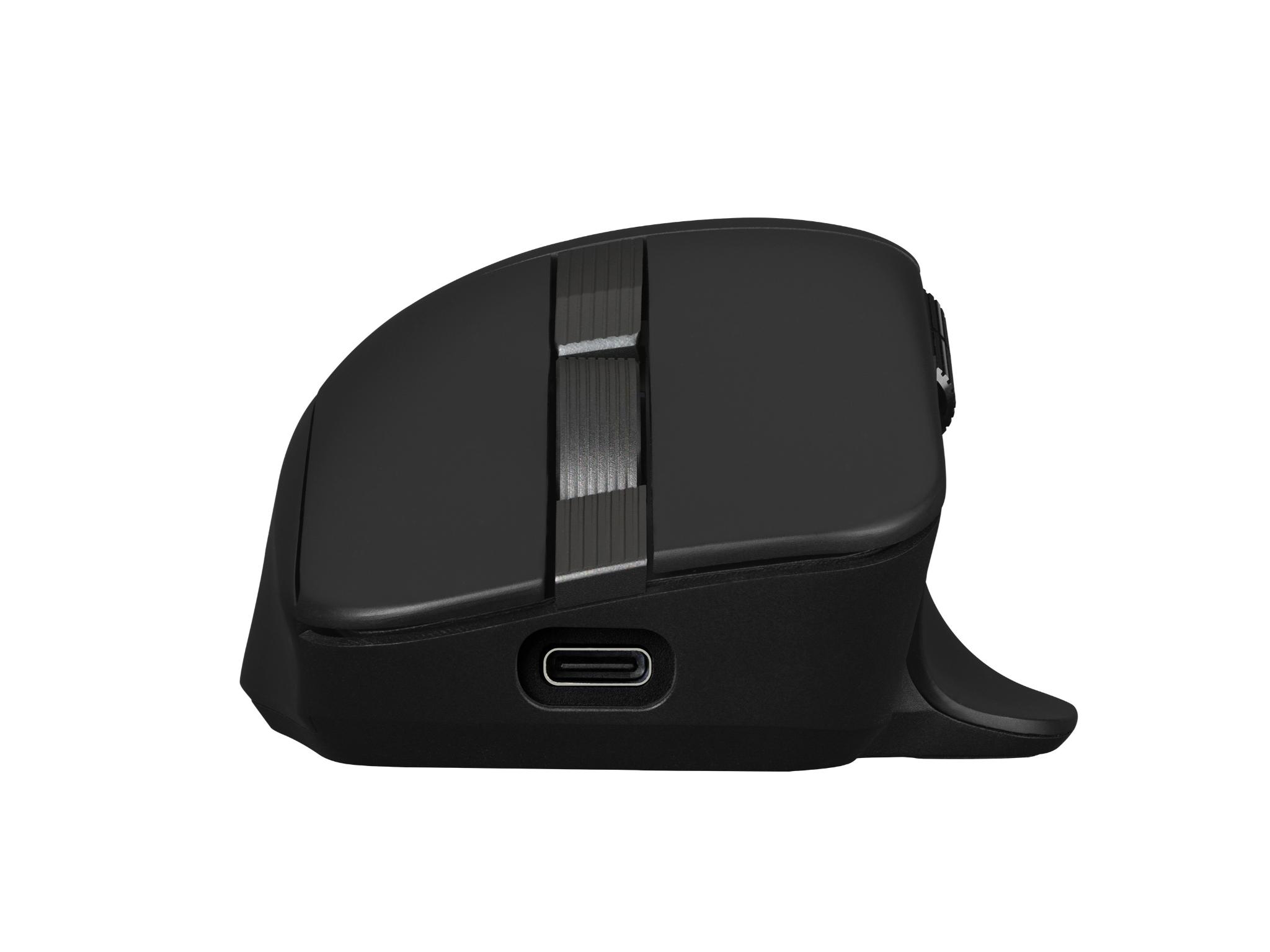 ProArt Mouse MD301