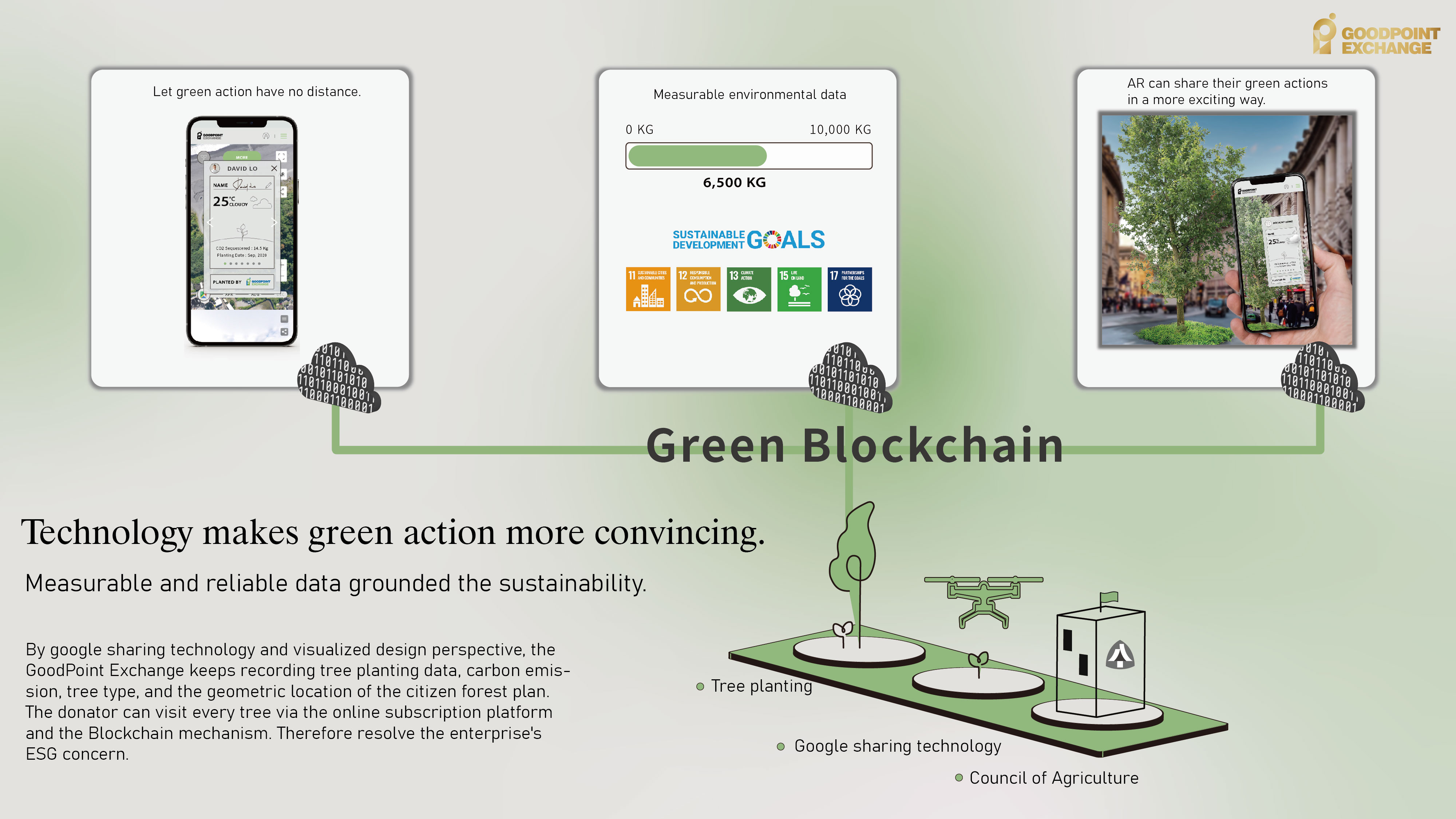 Citizen Forest Plan