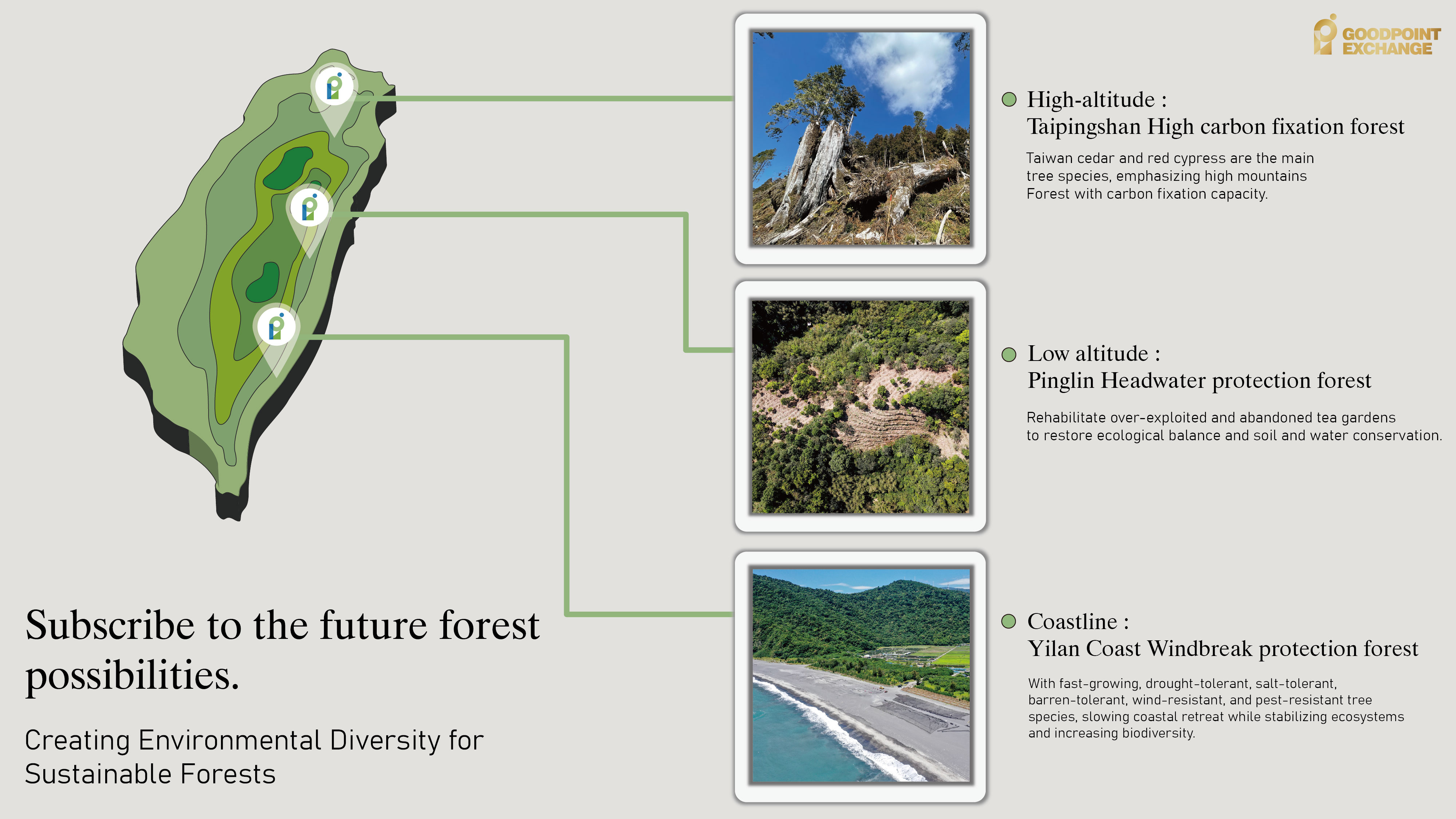 Citizen Forest Plan