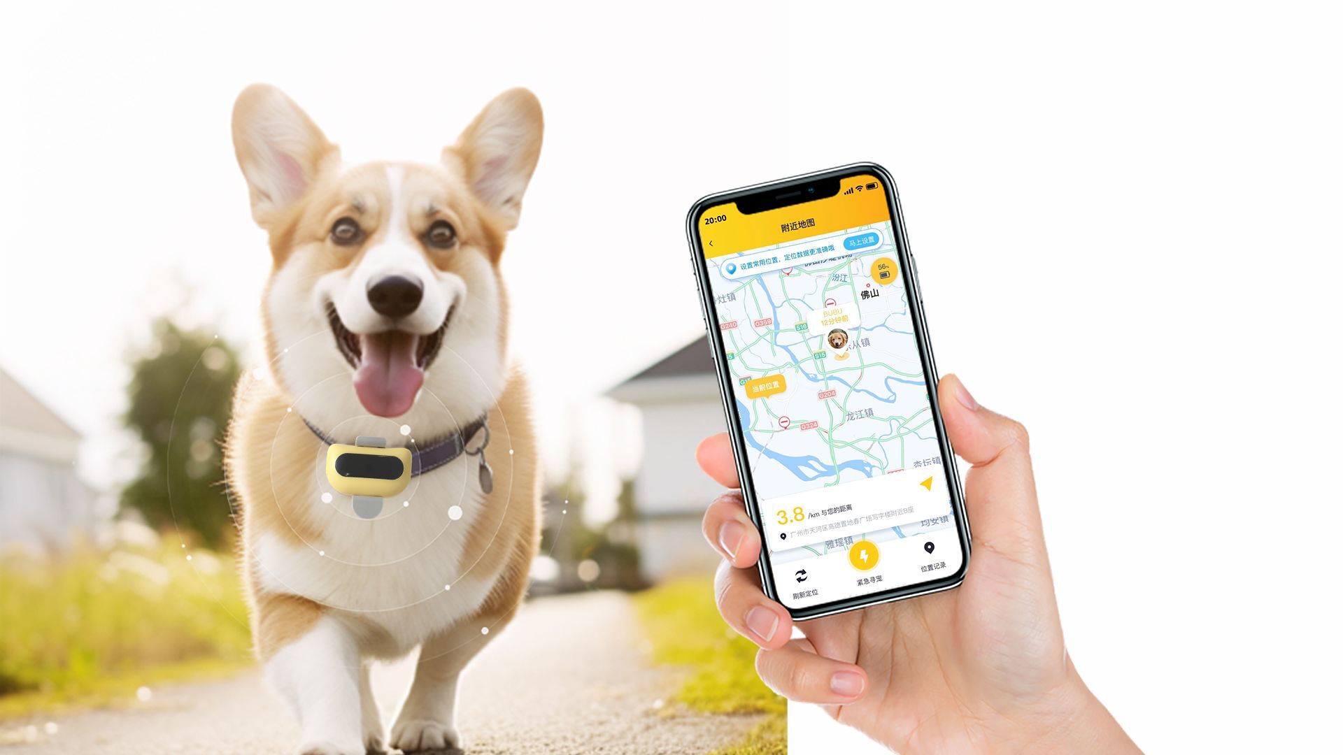 Lookingpet GPS Pet Tracker