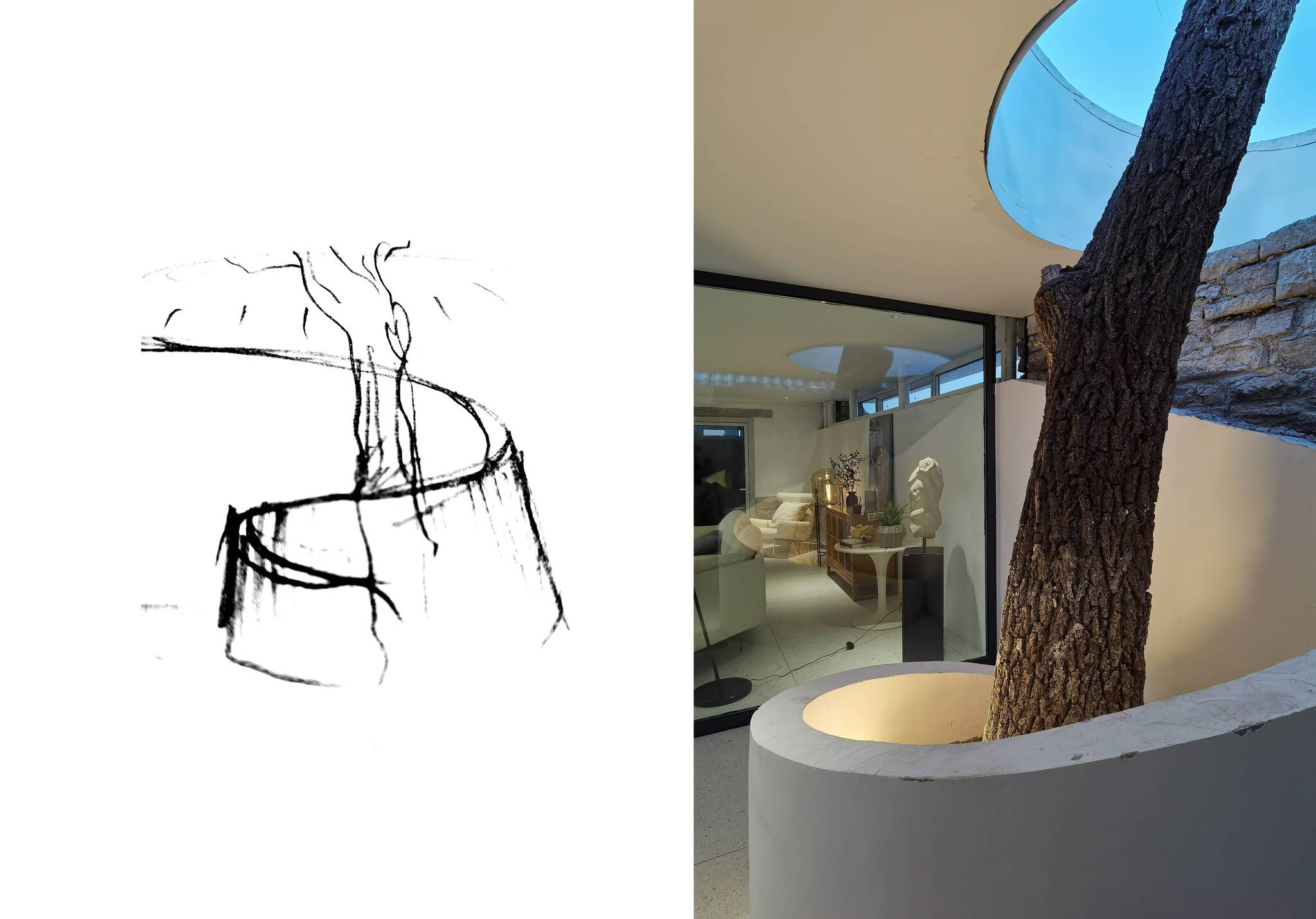 iF Design - Living with a Tree