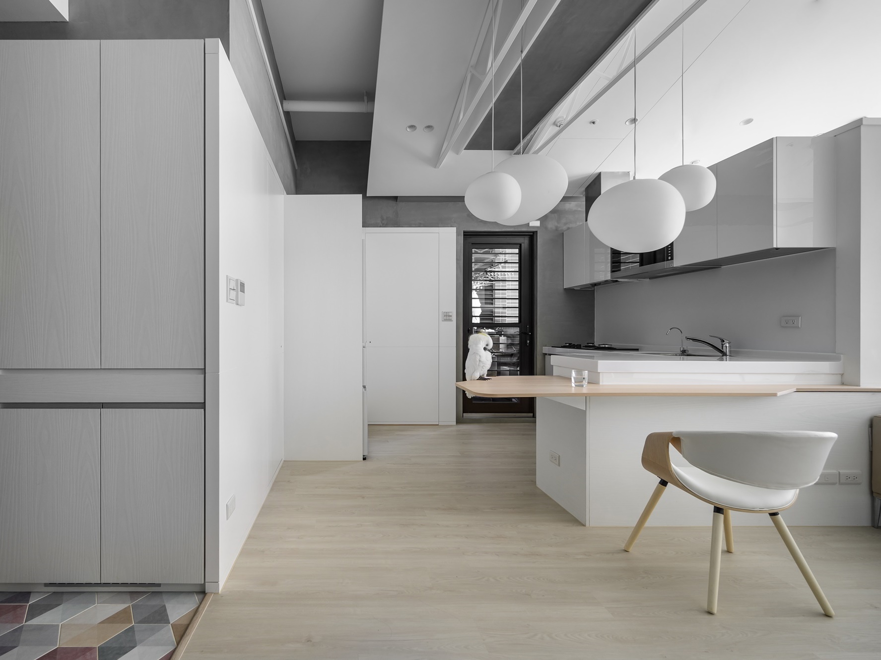 The co-living residence of parrot–human