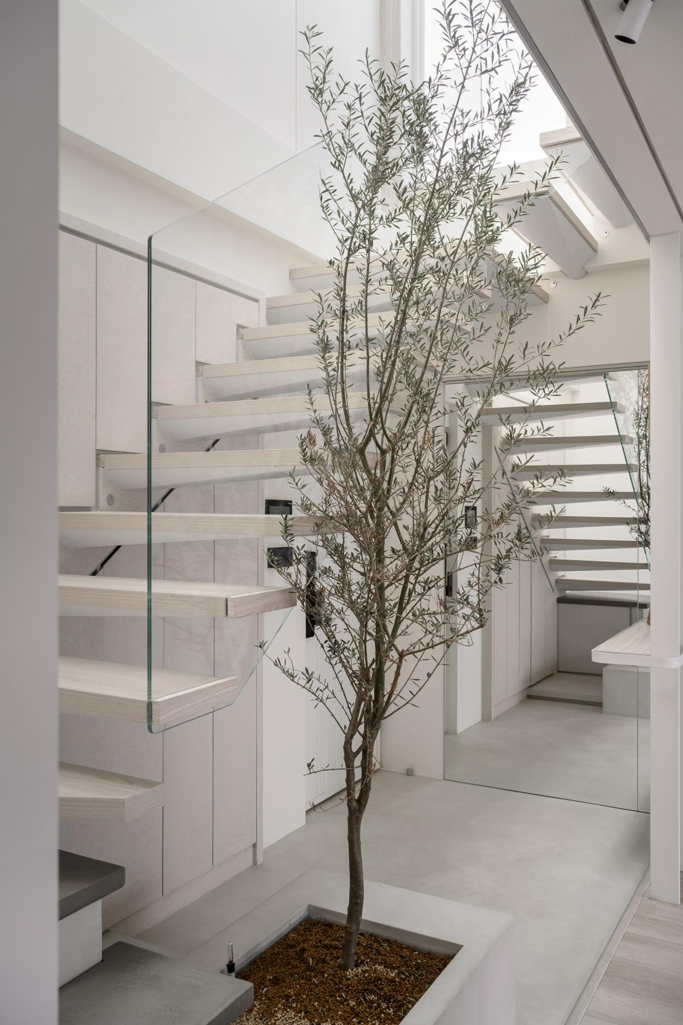 Living in Symbiosis with Nature