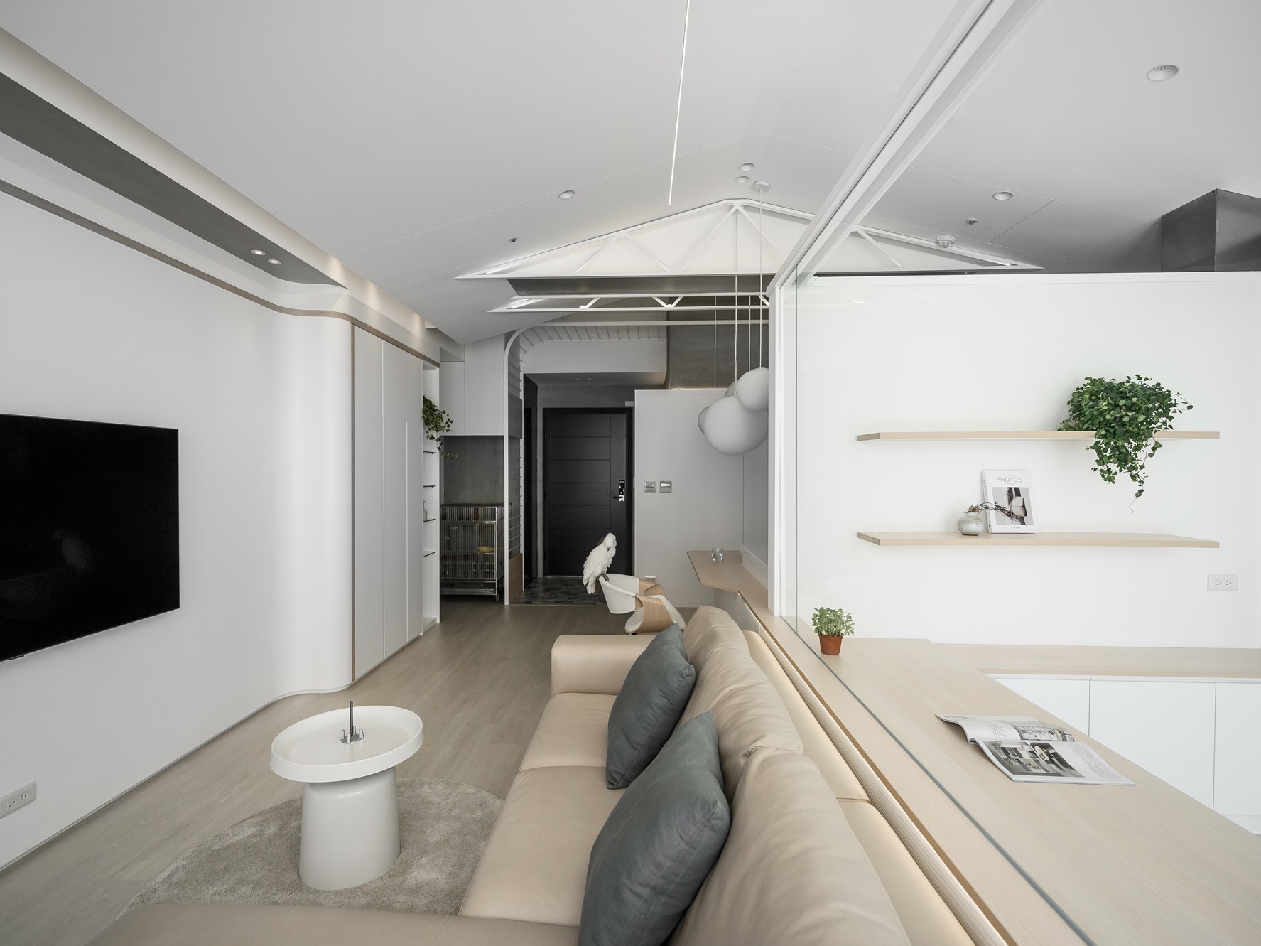 The co-living residence of parrot–human