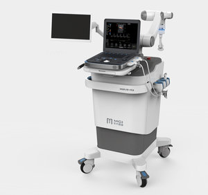 Robotic Ultrasound System