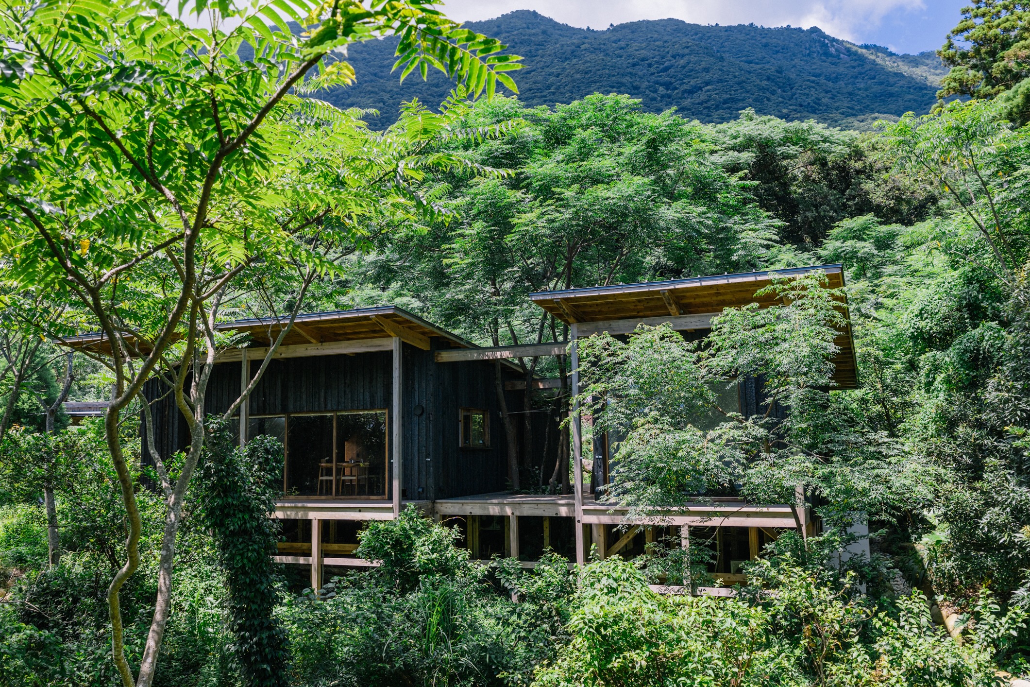 Regenerative Vegan House