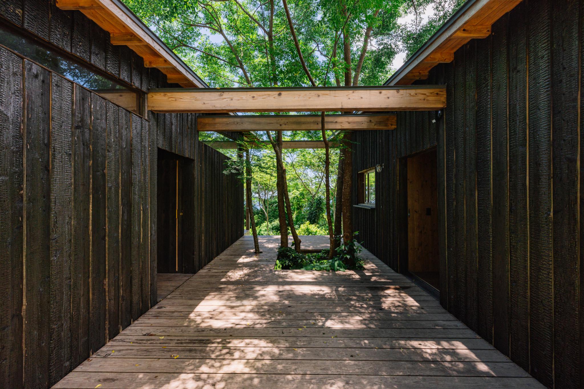 Regenerative Vegan House