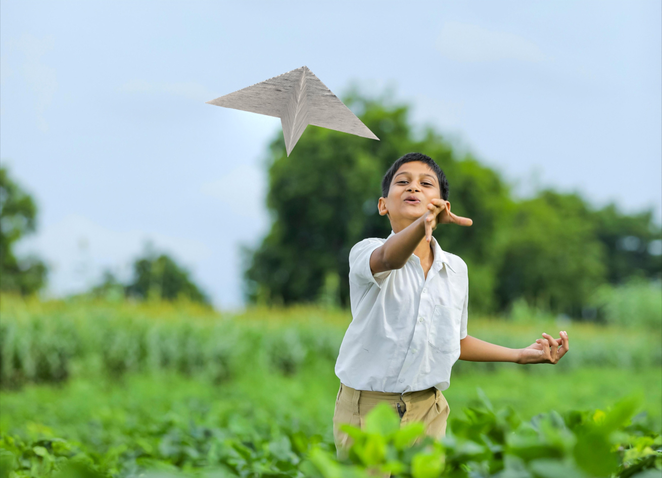 Seed Paper Airplane