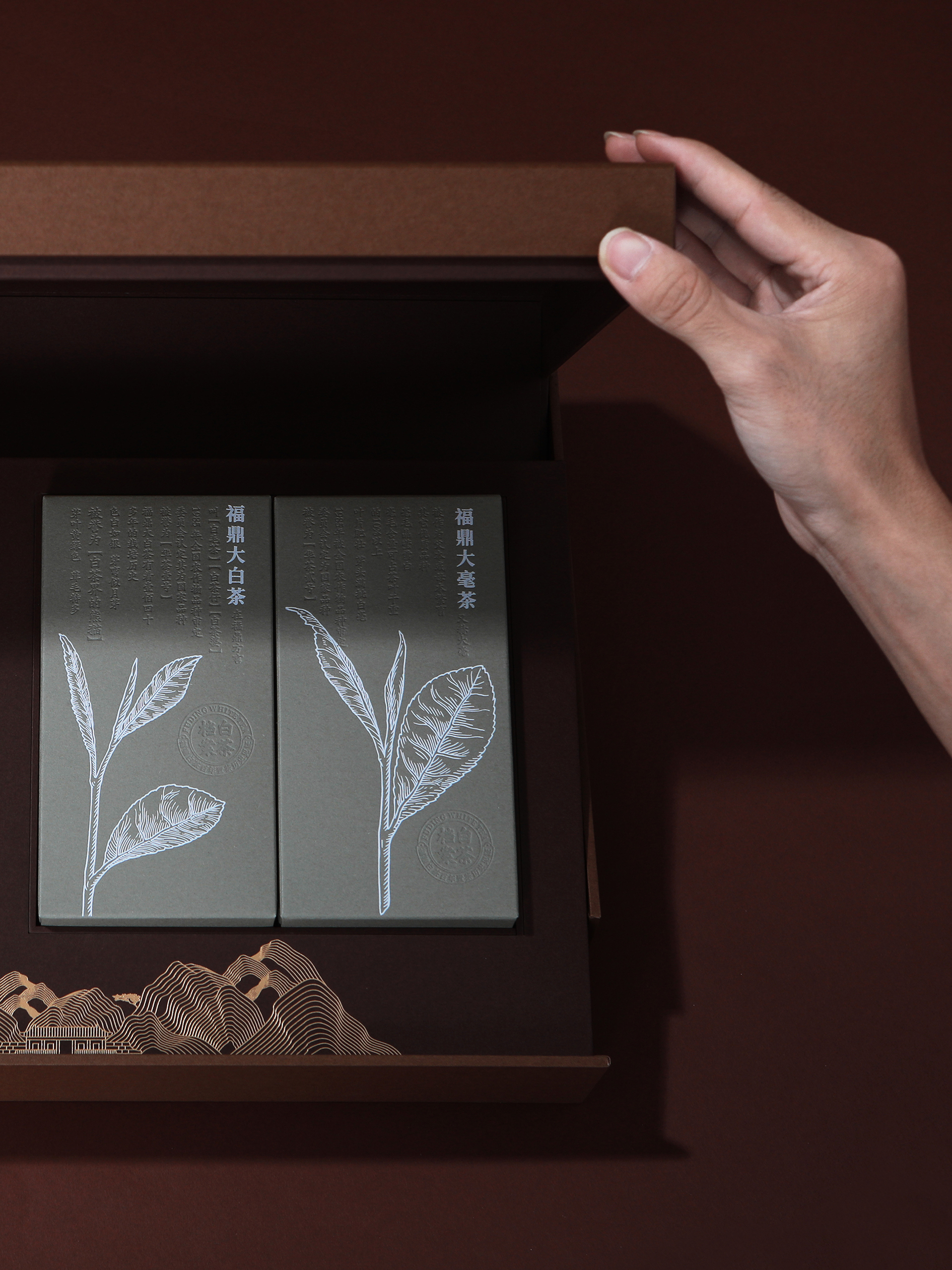 Collection level white tea packaging design
