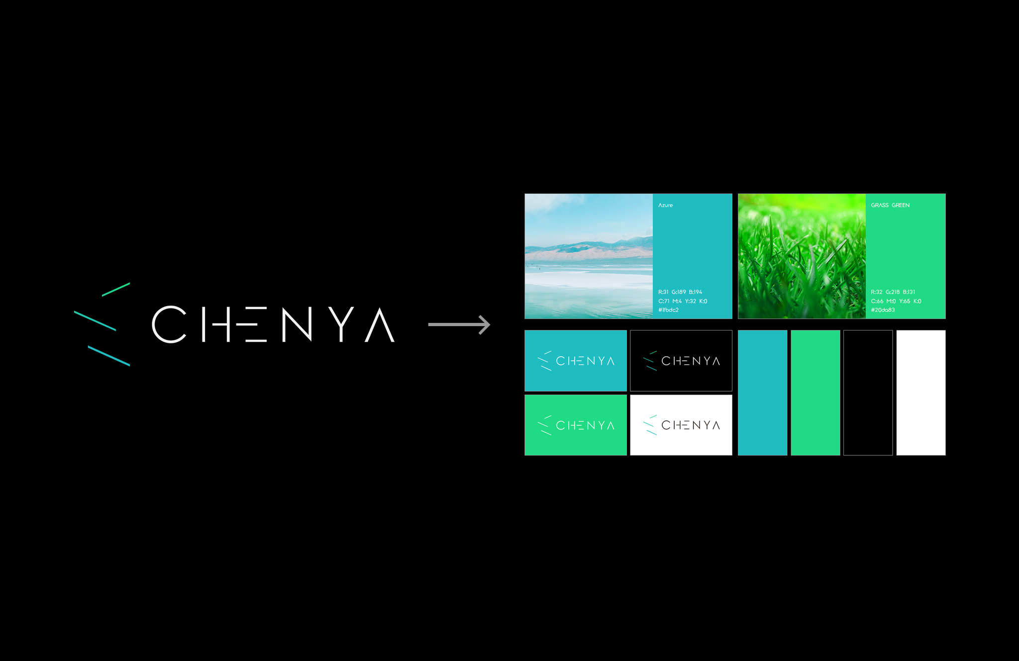 Visual Identity System of Chenya Technology