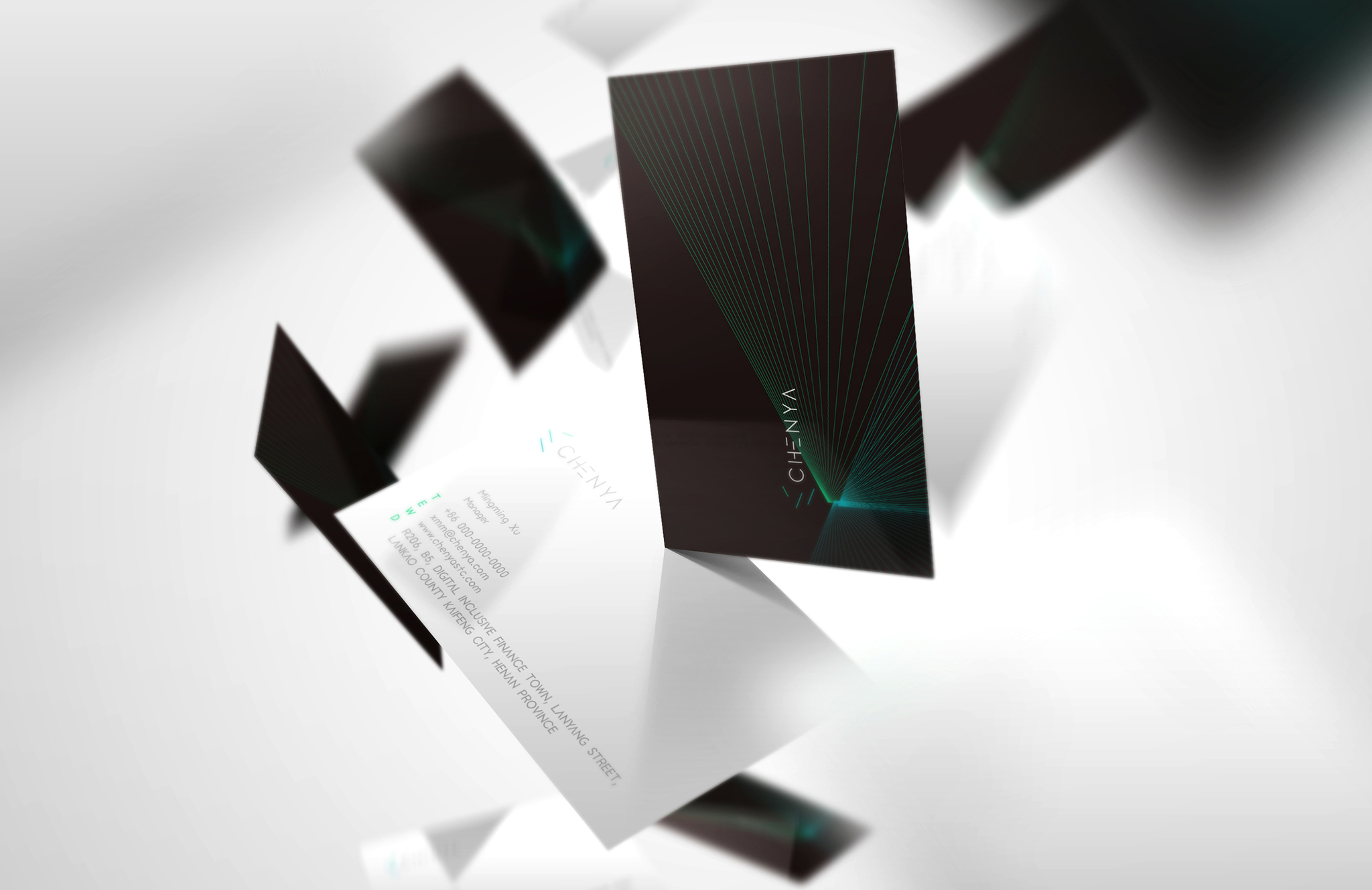Visual Identity System of Chenya Technology