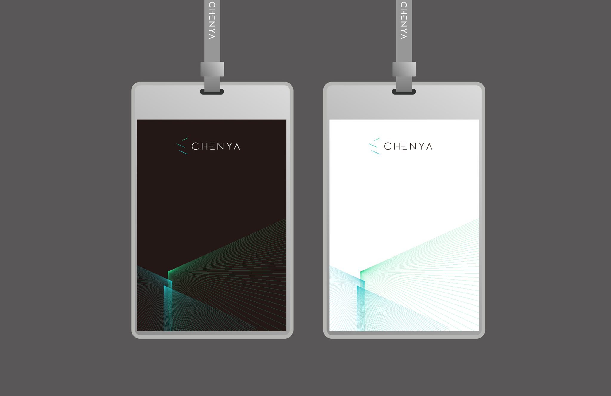 Visual Identity System of Chenya Technology