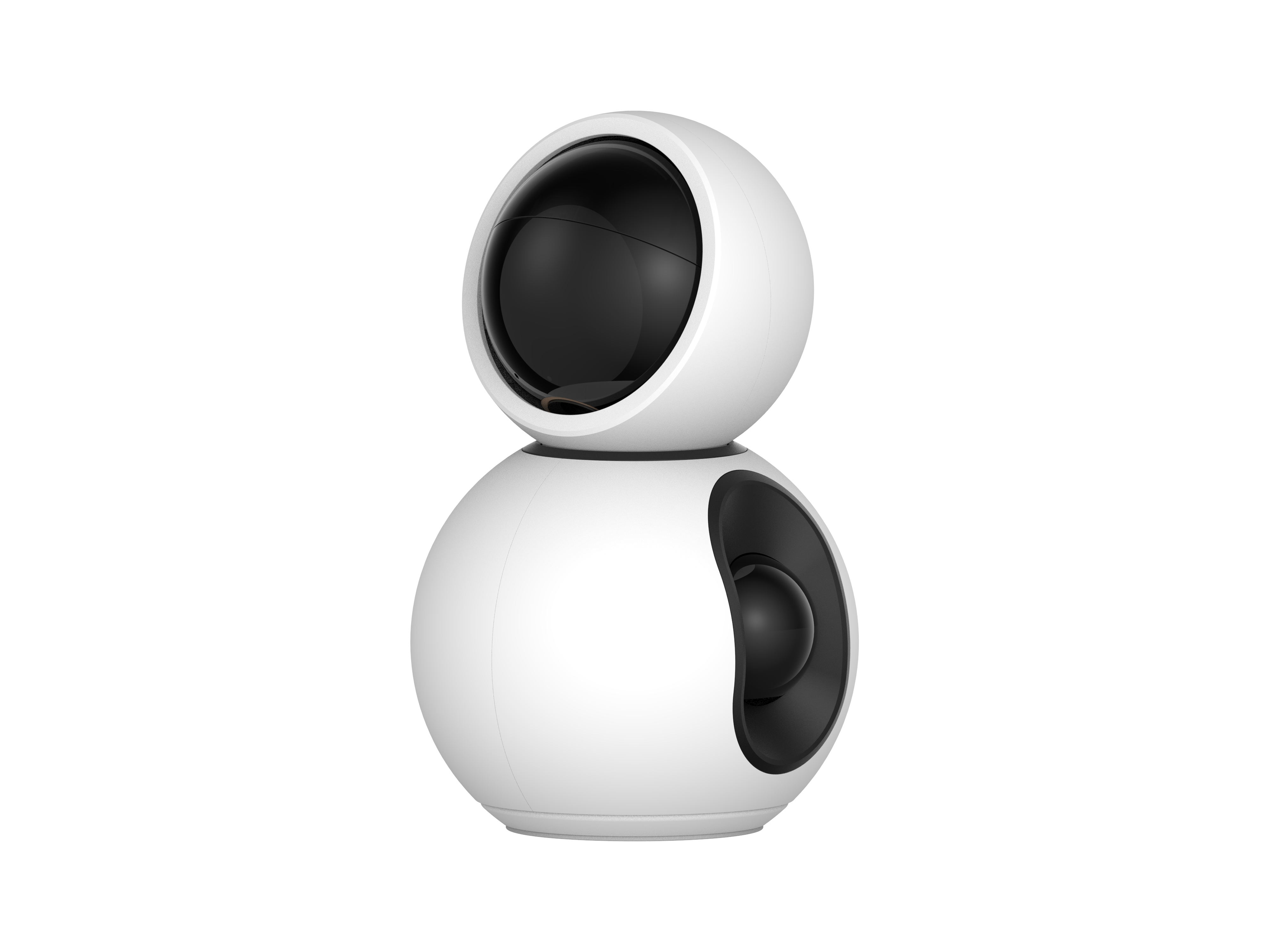 Alcidae Dual-Lens Dual-Ball Camera