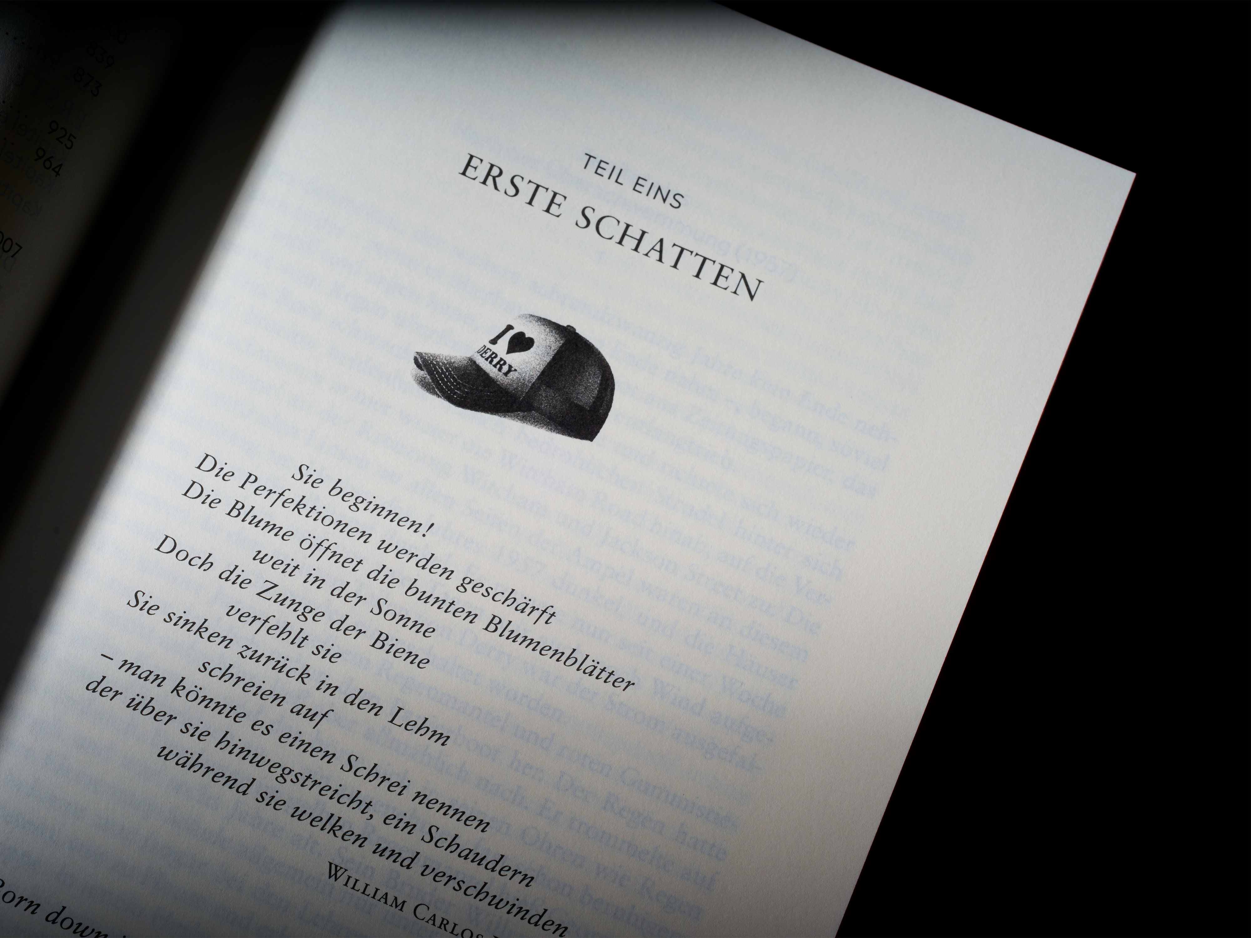 Stephen King ES Anniversary Edition – Book Design