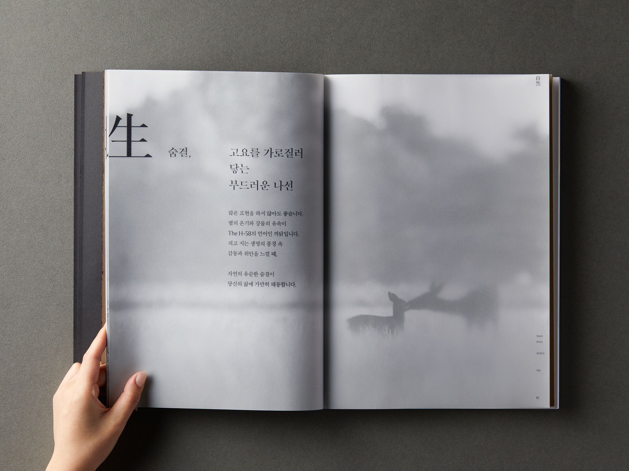 Resonance - Willowriver Sales Brochure