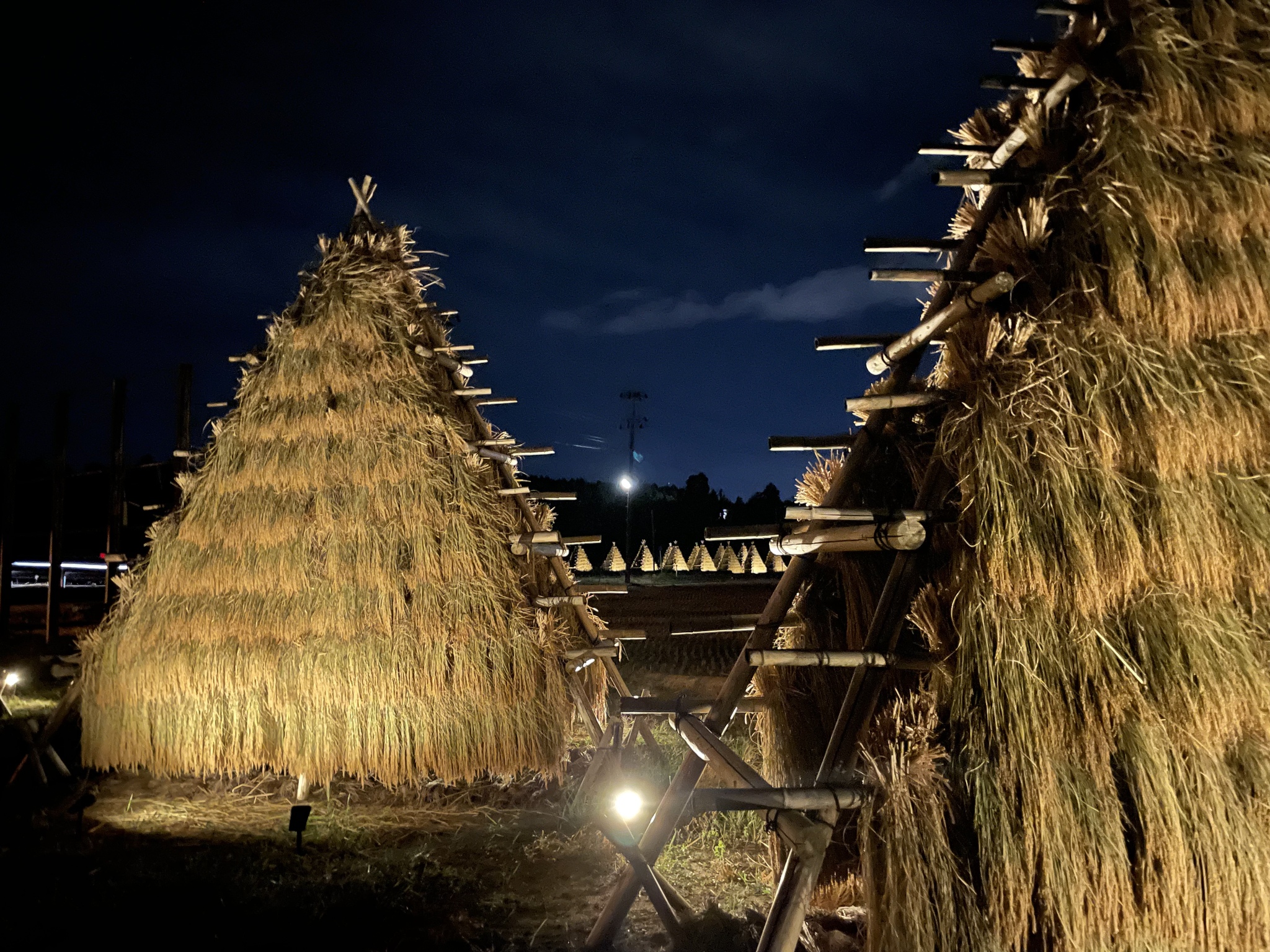 SENJIRO Hasagakemai