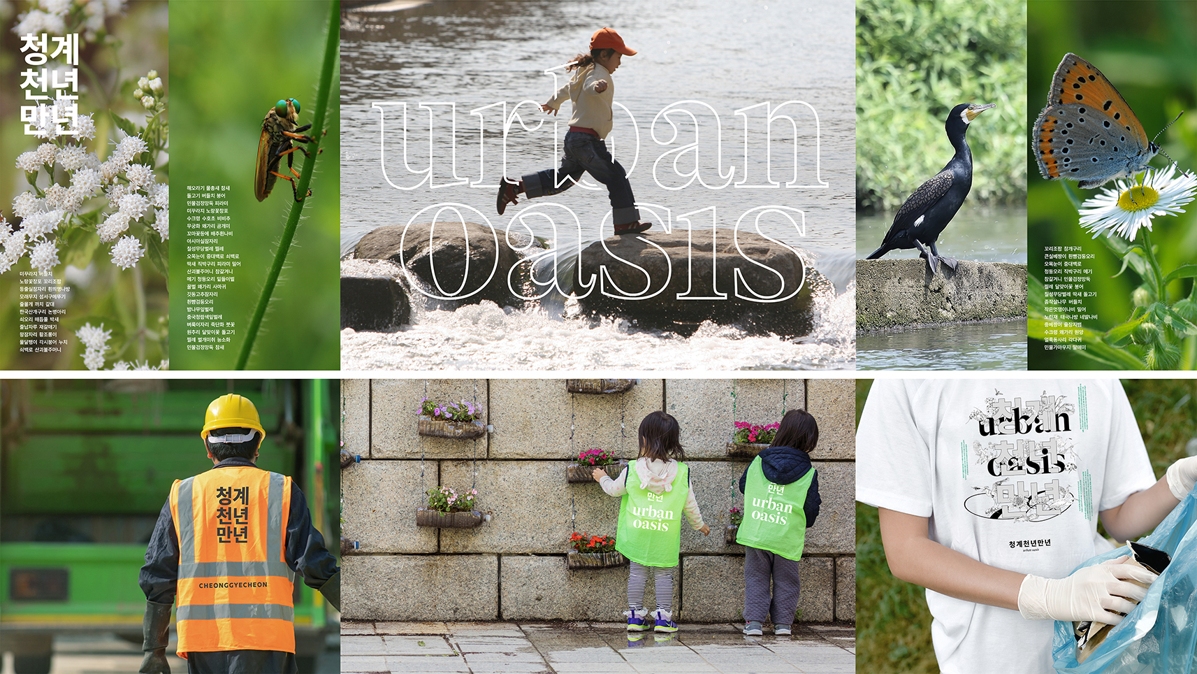 URBAN OASIS, Cheonggyecheon