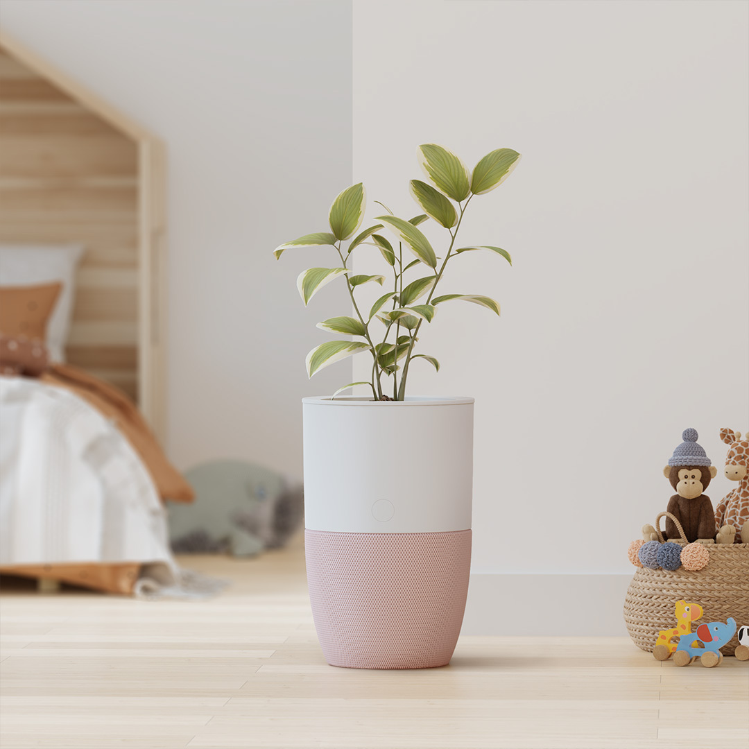 Bloom - Air purifier - Fresh air looks good.