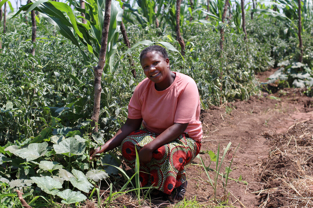 Agriculture Guide Program