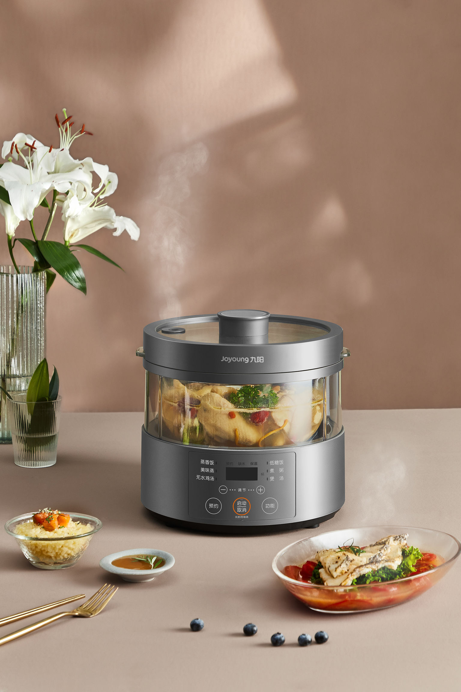 S160 Steam Rice Cooker