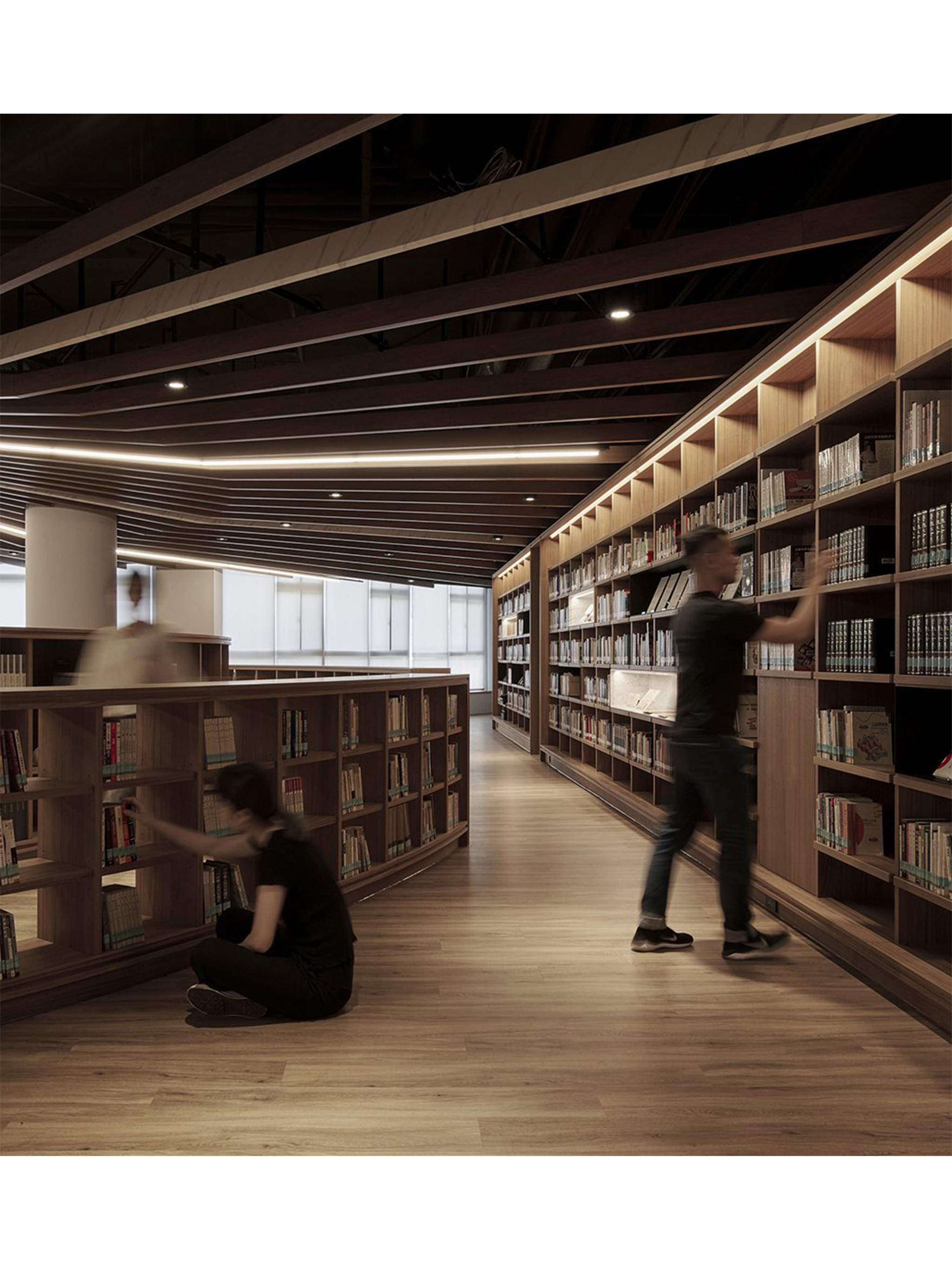 The Sea of Books
