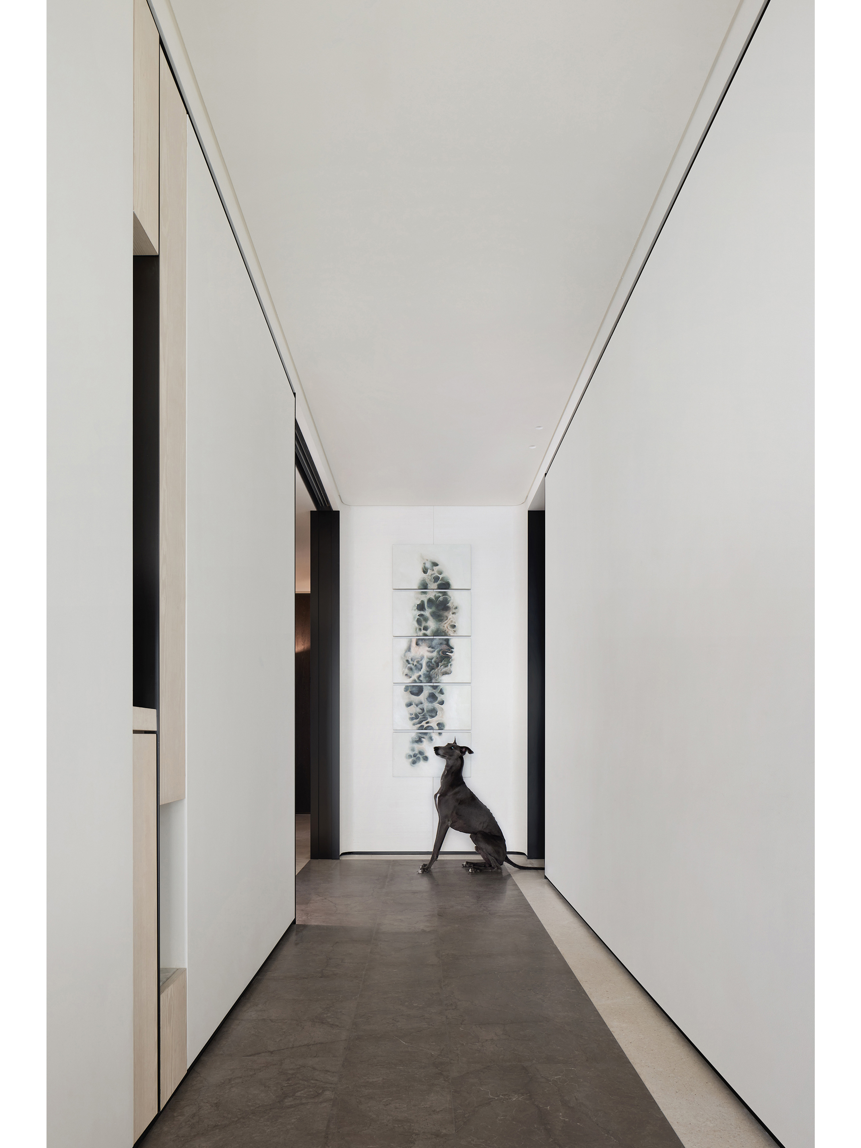 Flying with the Wind