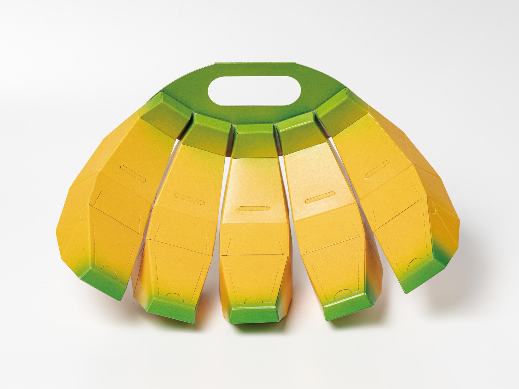 Banana fiber paper packing design