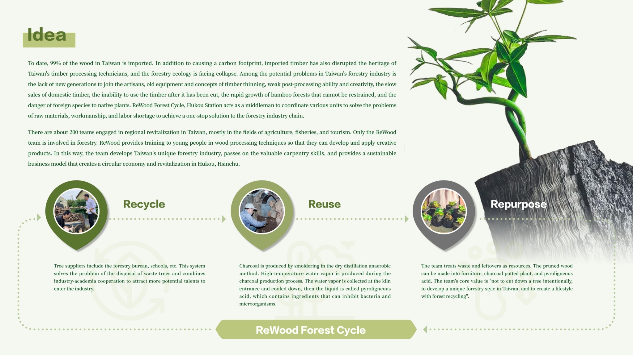 ReWood Forest Cycle