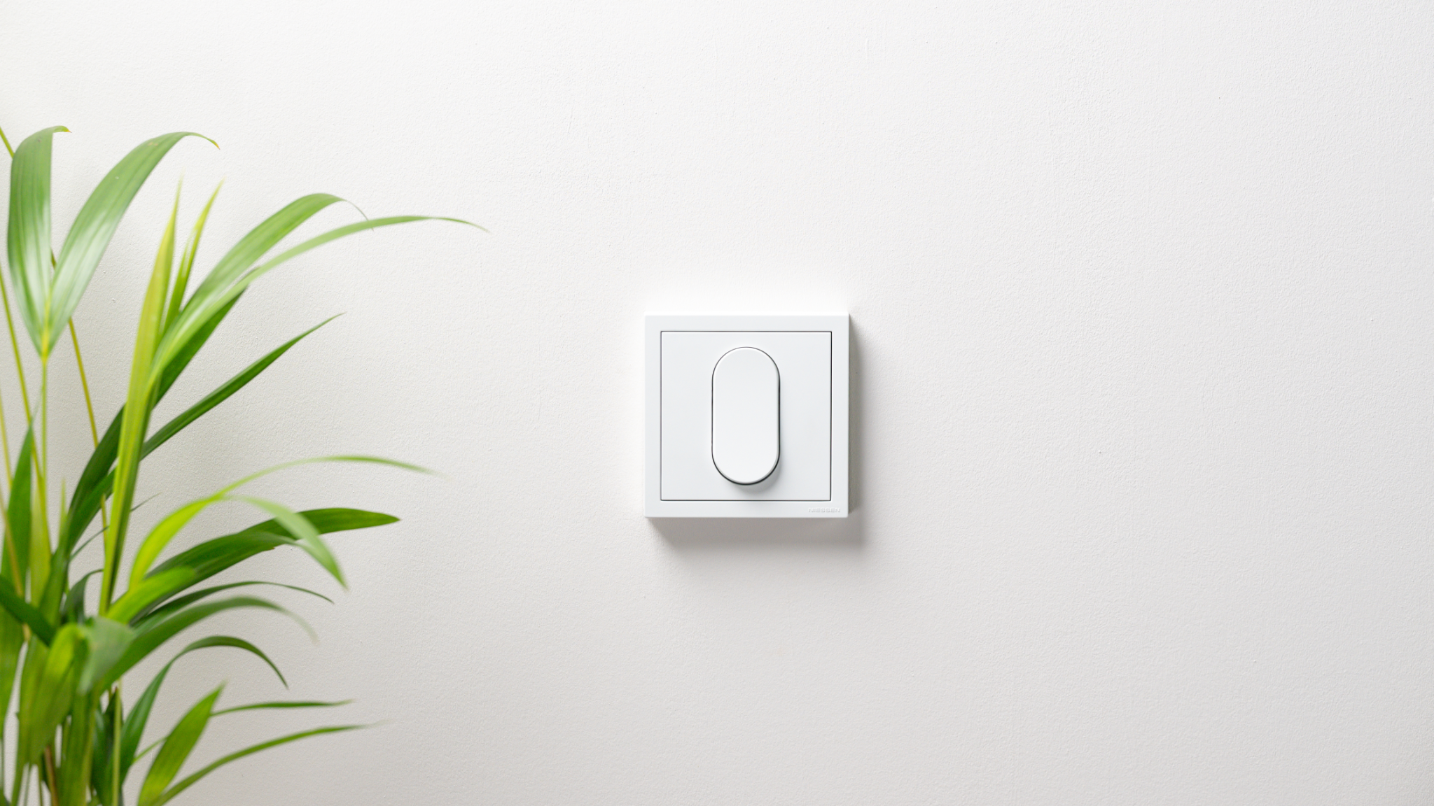 VEGA & ALTER VEGA - Sustainable switch program