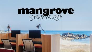 Mangrove Work&Stay