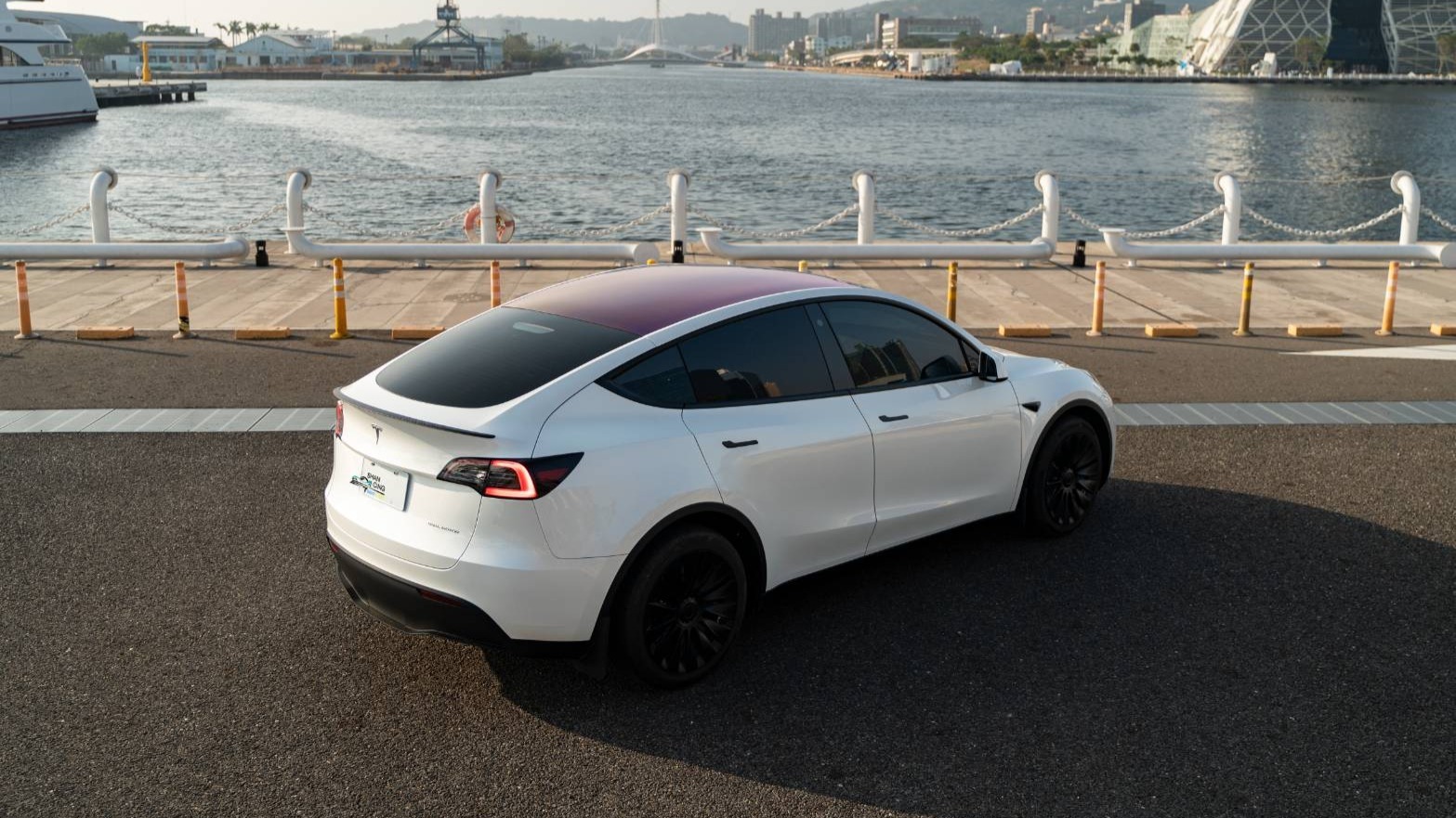 GOONA TESLA GLASS