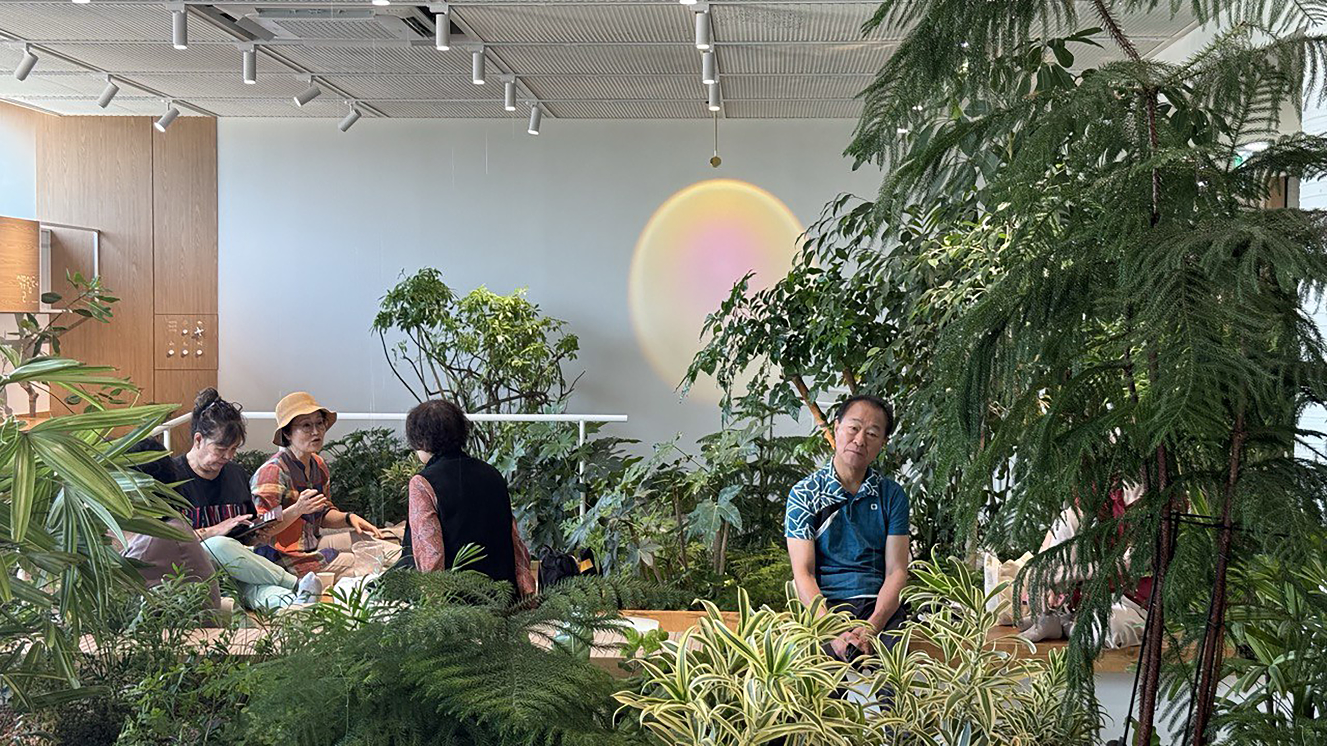 SOHADAM SOOP, COMMUNITY GARDEN FOR WELL-BEING