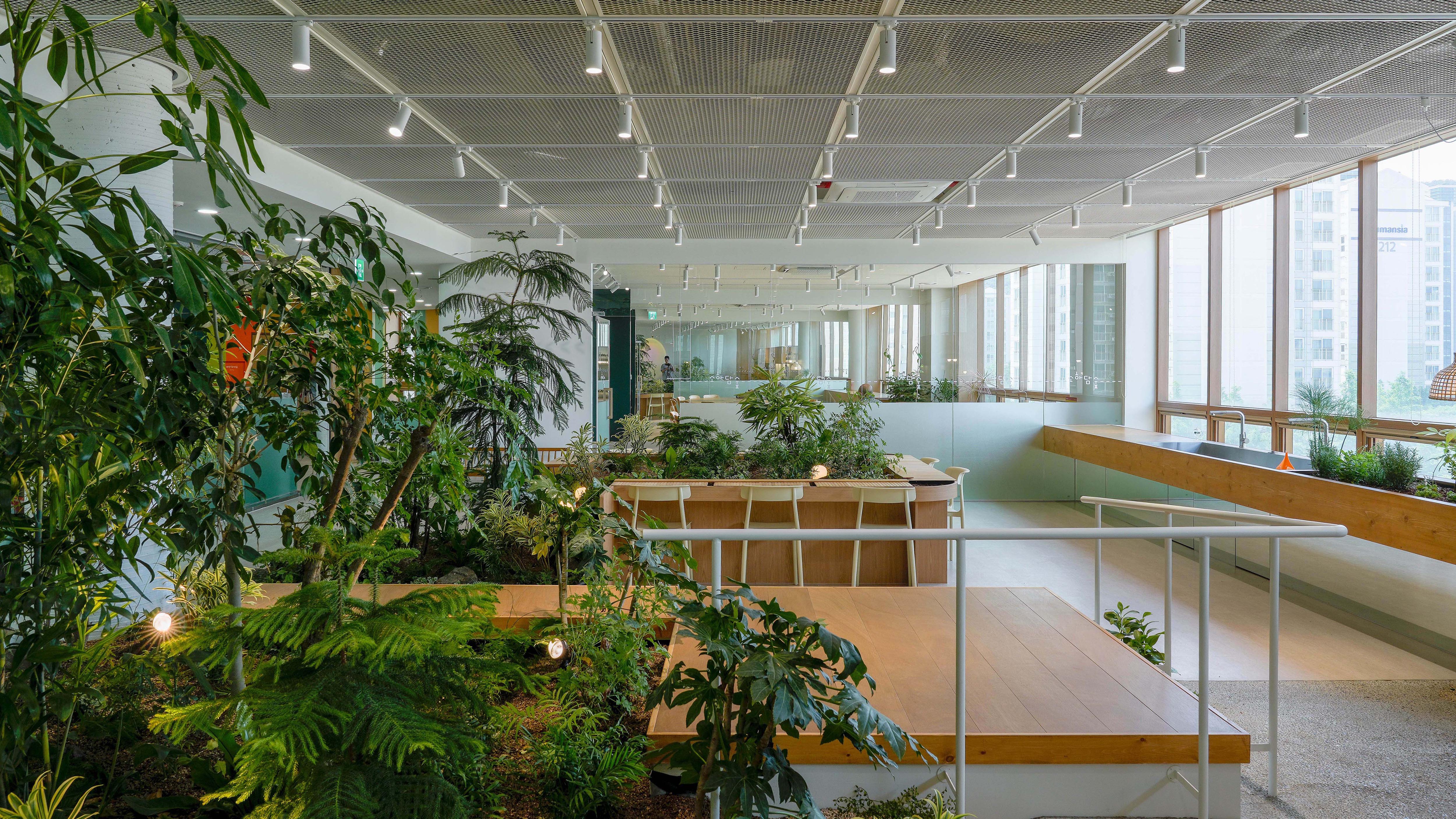 SOHADAM SOOP, COMMUNITY GARDEN FOR WELL-BEING