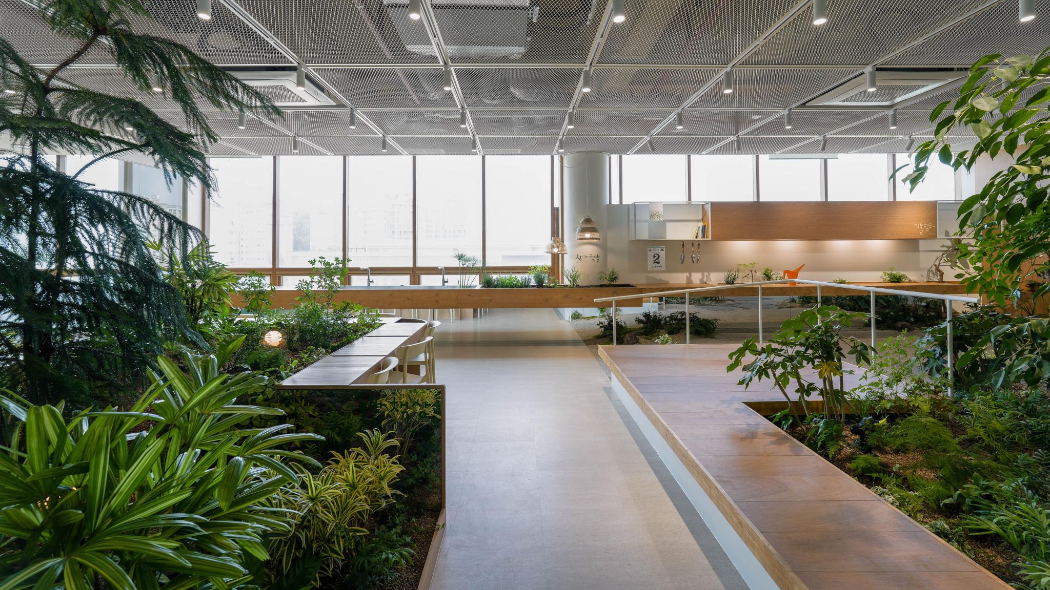 SOHADAM SOOP, COMMUNITY GARDEN FOR WELL-BEING