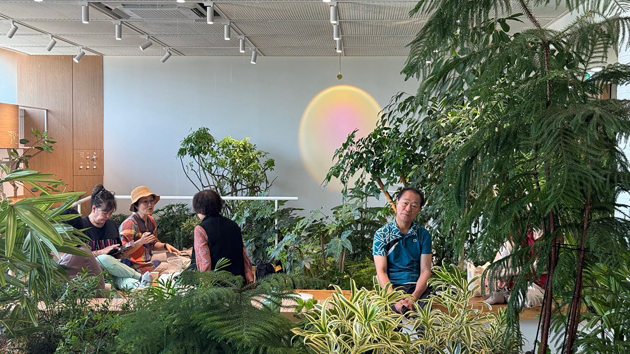 SOHADAM SOOP, GARDEN OF MEMORY AND EXPERIENCE