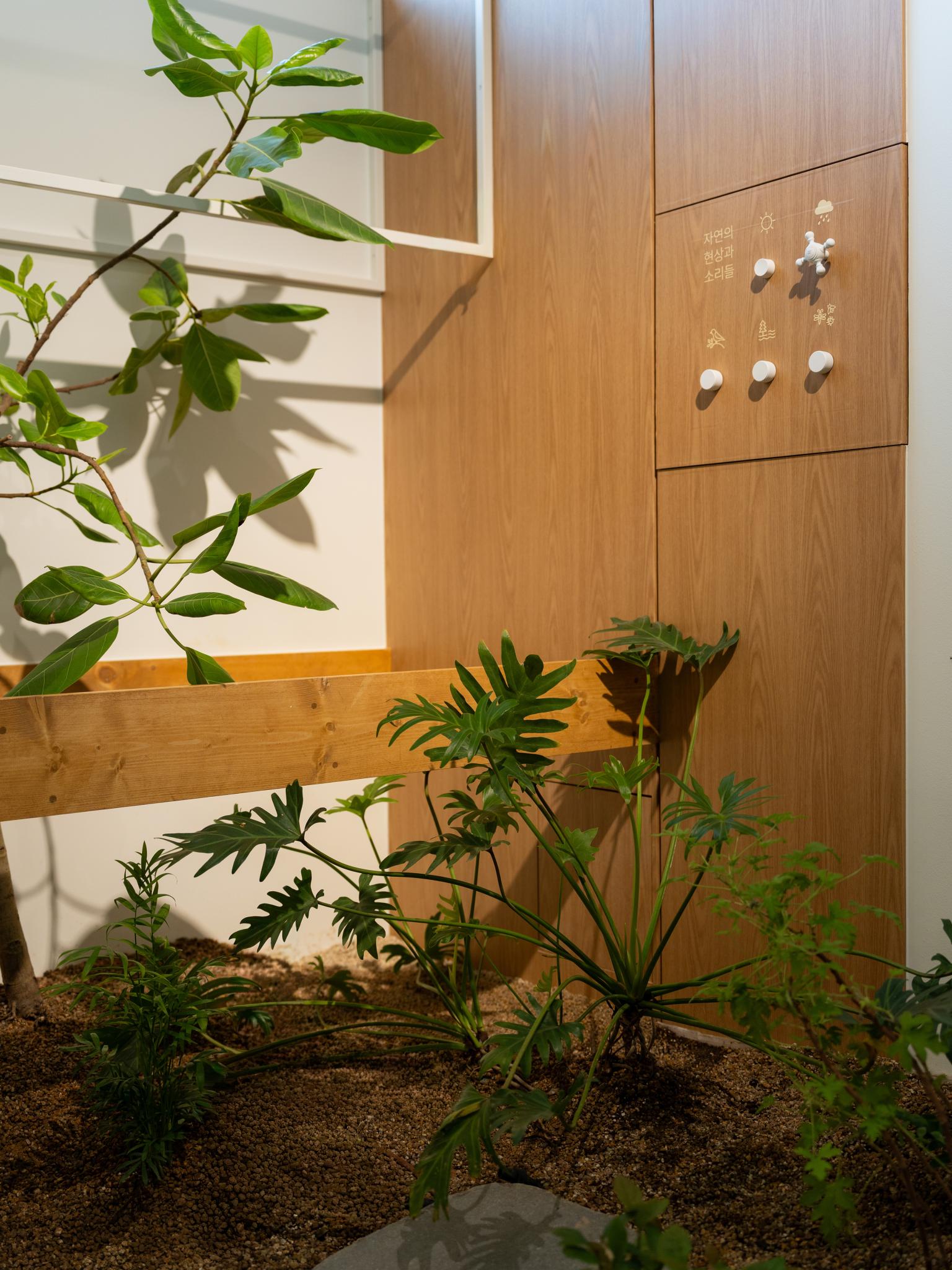 SOHADAM SOOP, GARDEN OF MEMORY AND EXPERIENCE