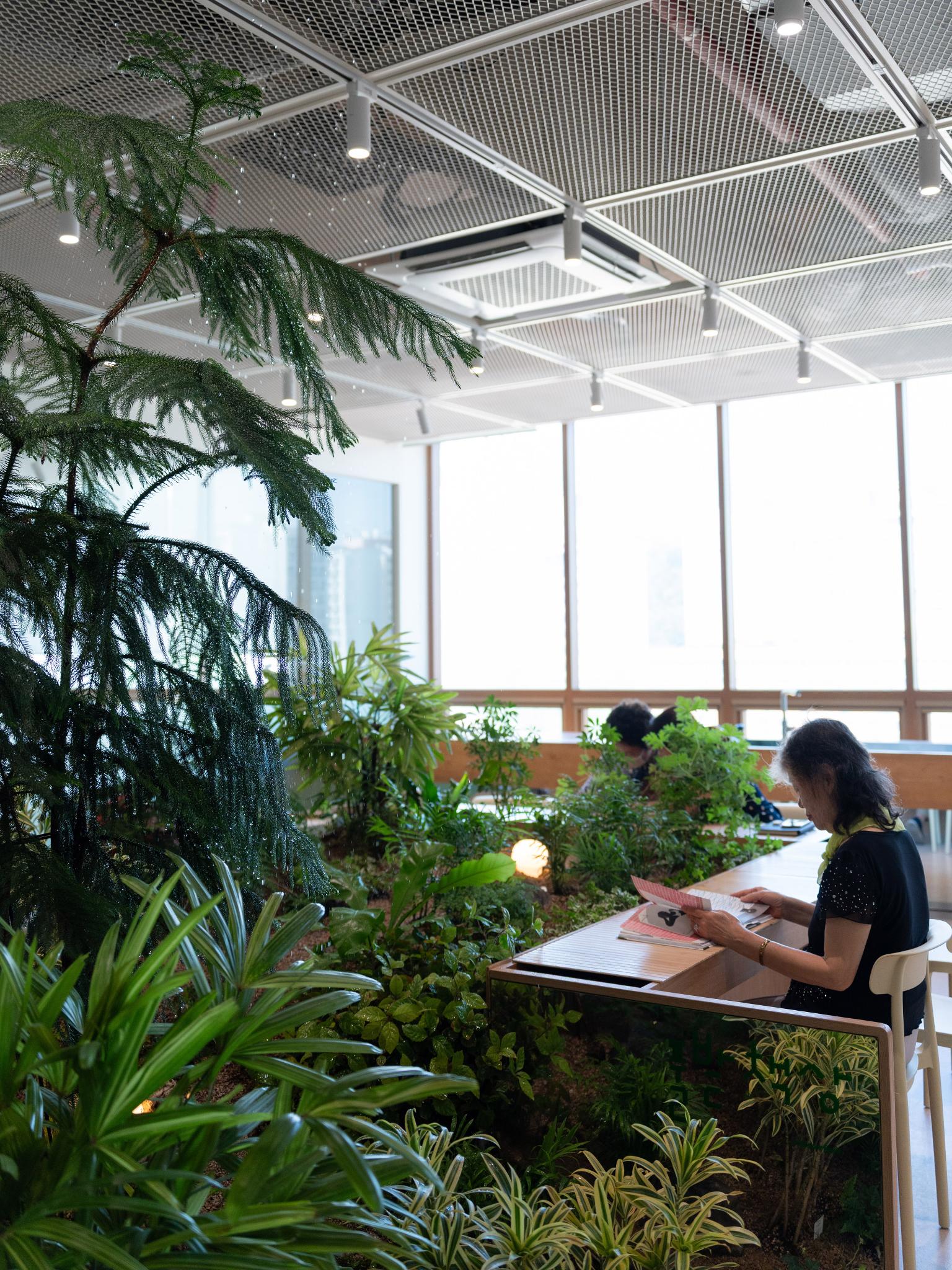 SOHADAM SOOP, GARDEN OF MEMORY AND EXPERIENCE