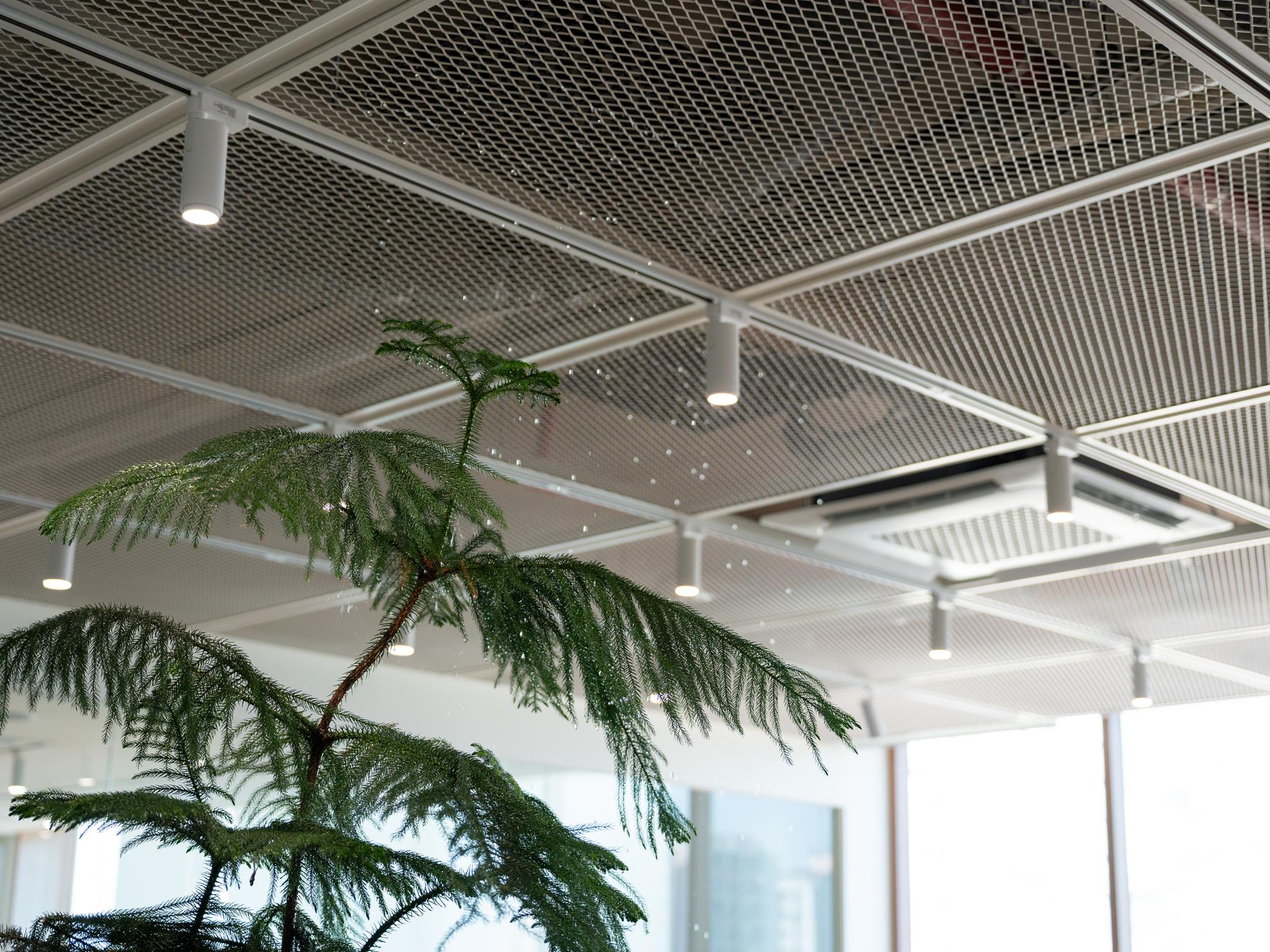 SOHADAM SOOP, GARDEN OF MEMORY AND EXPERIENCE