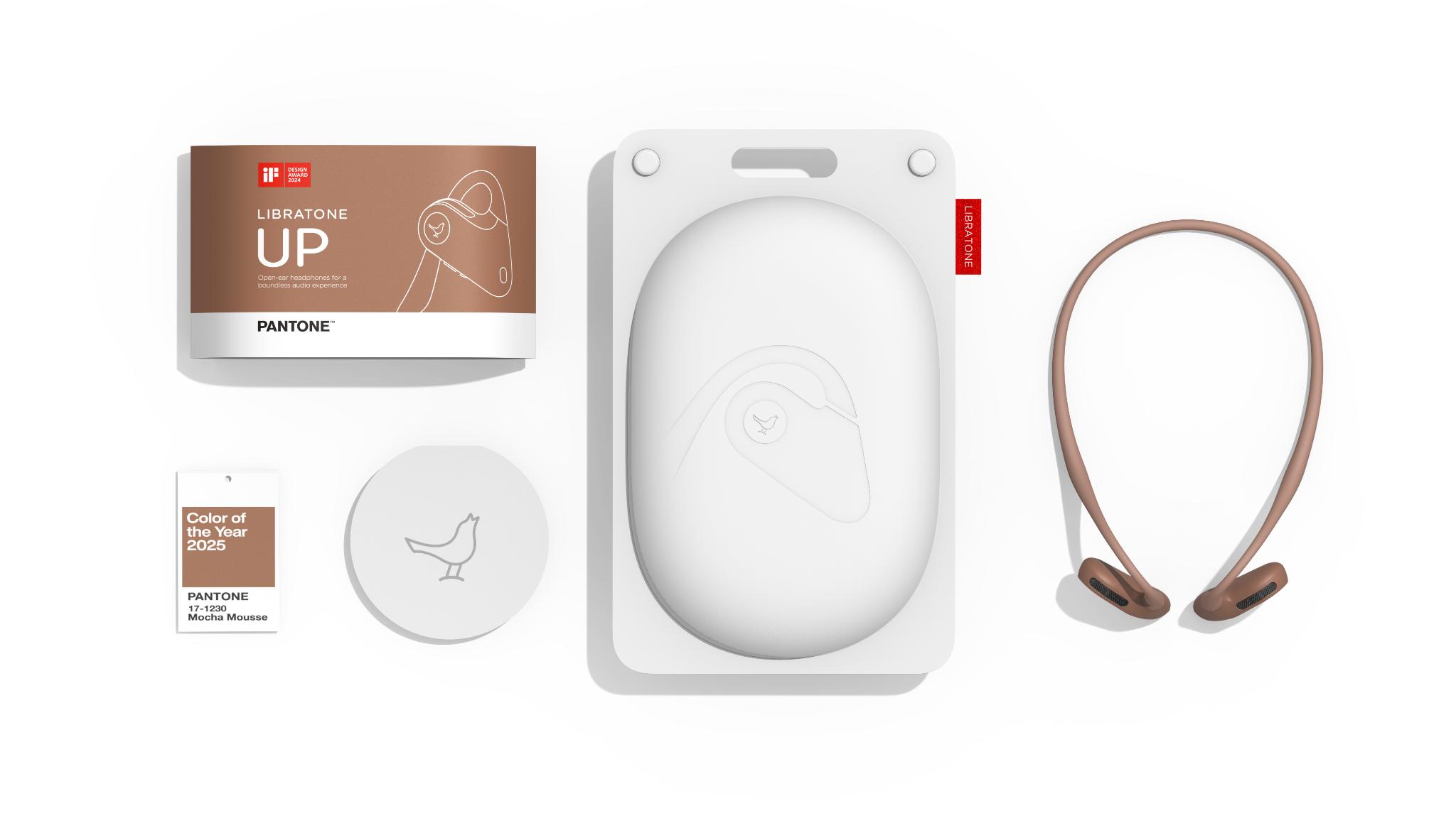 Libratone UP Packaging