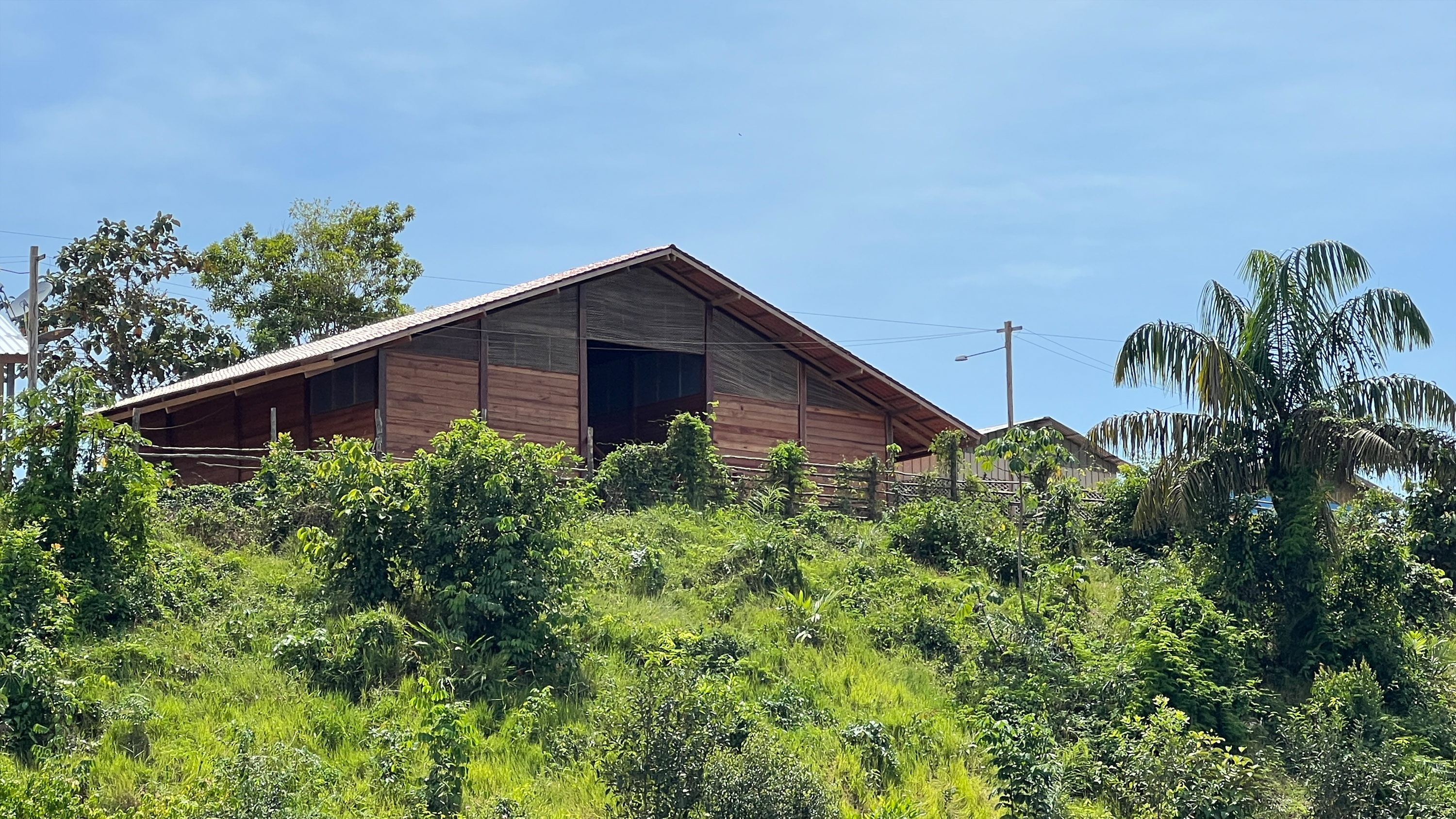 Community Schools of Rio Negro, Amazonas
