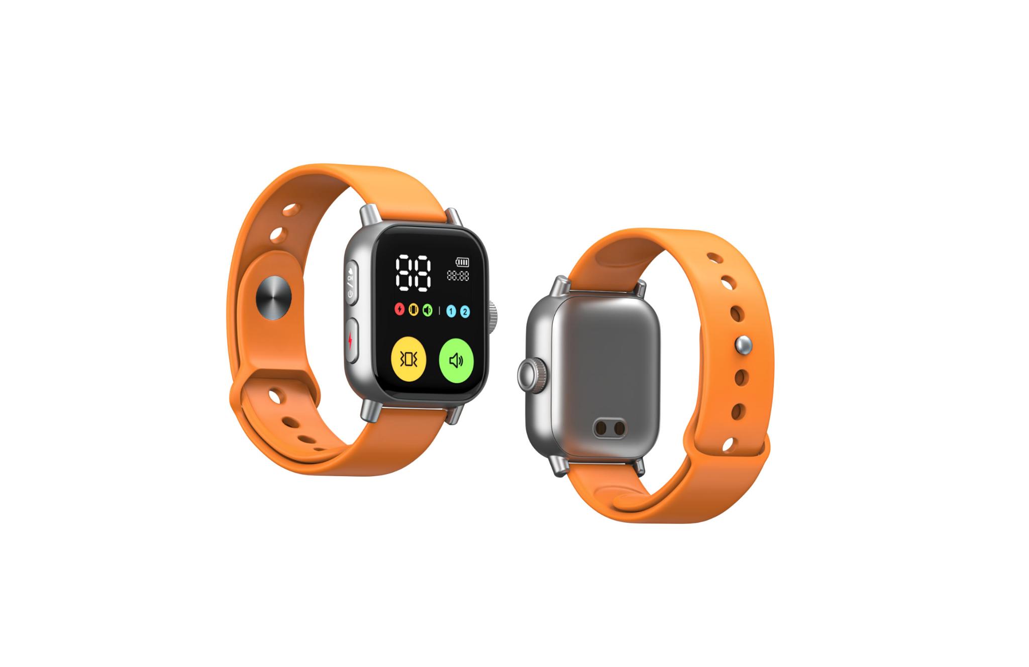 DT60 Dog Training Device