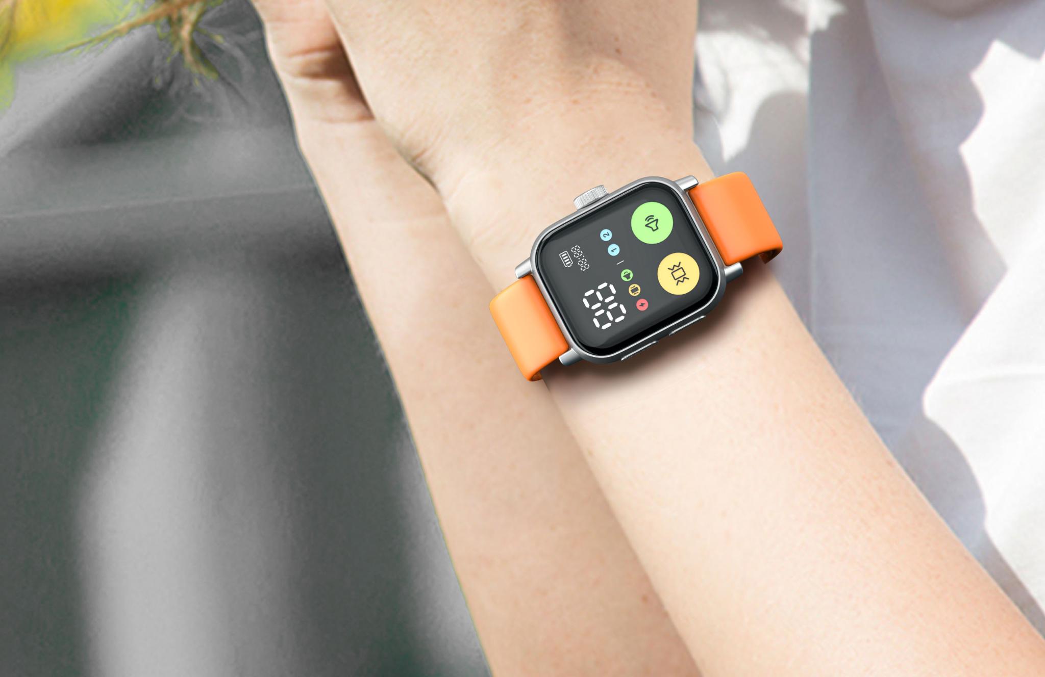 DT60 Dog Training Device