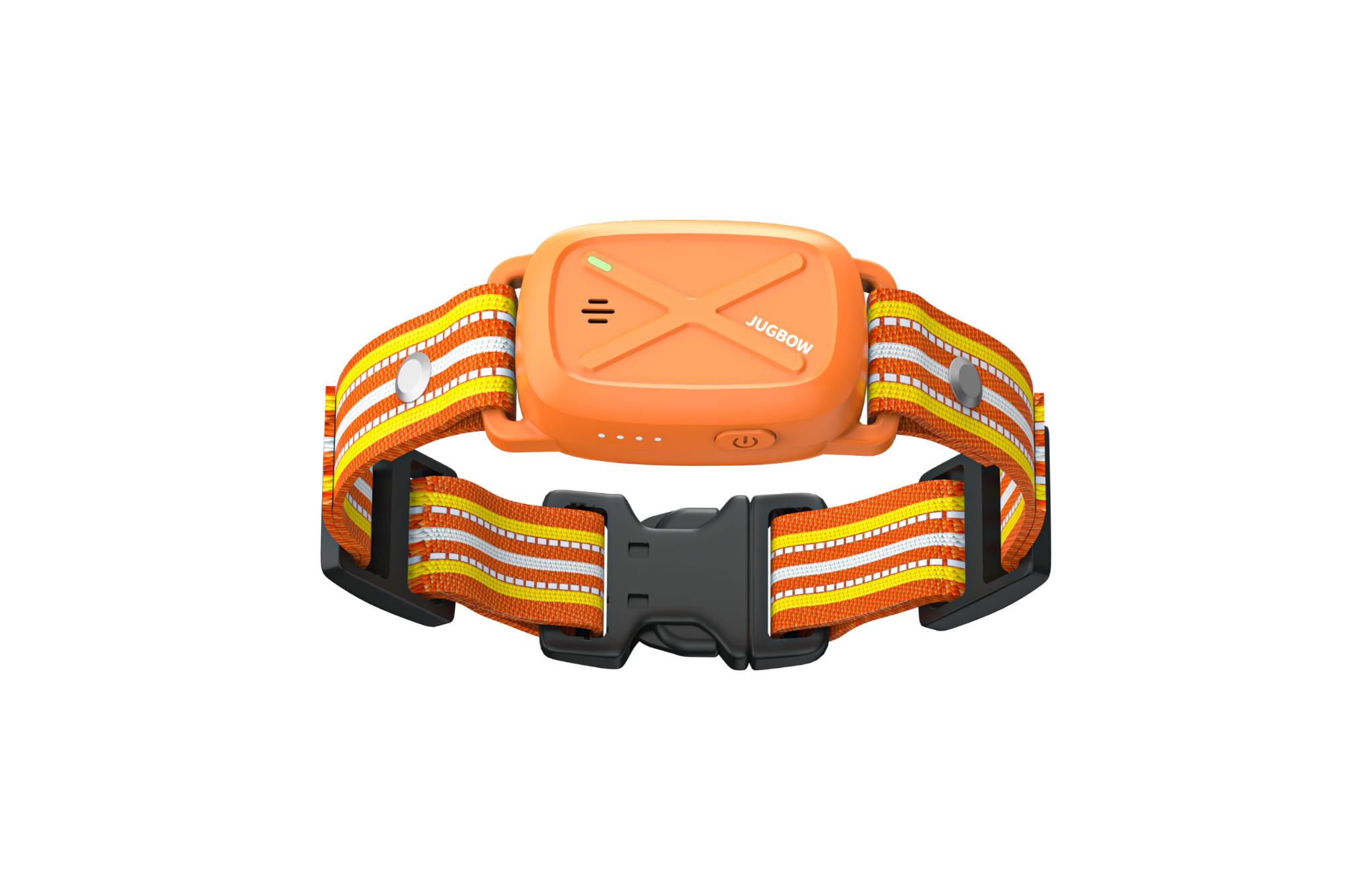 DT60 Dog Training Device