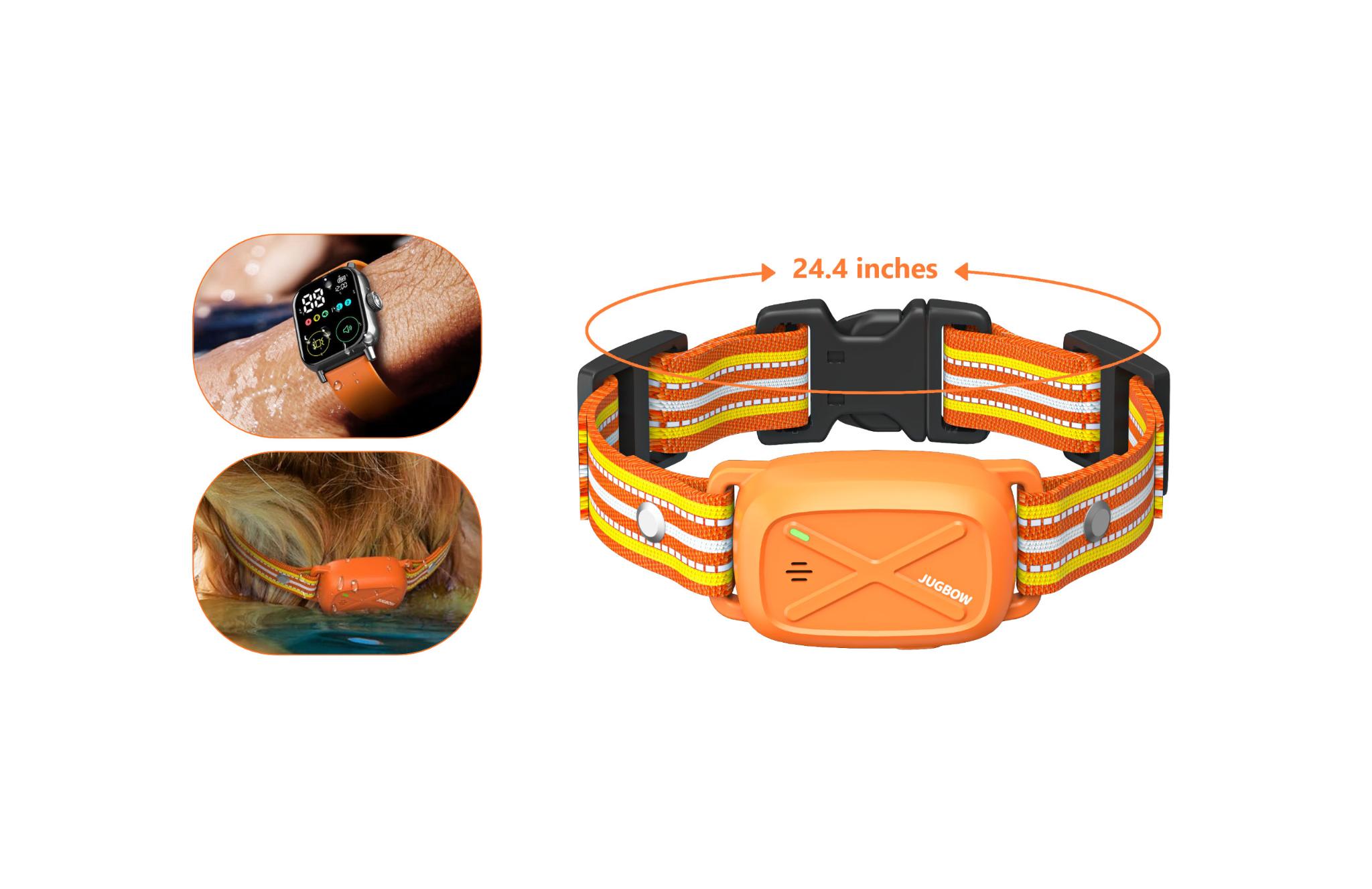 DT60 Dog Training Device