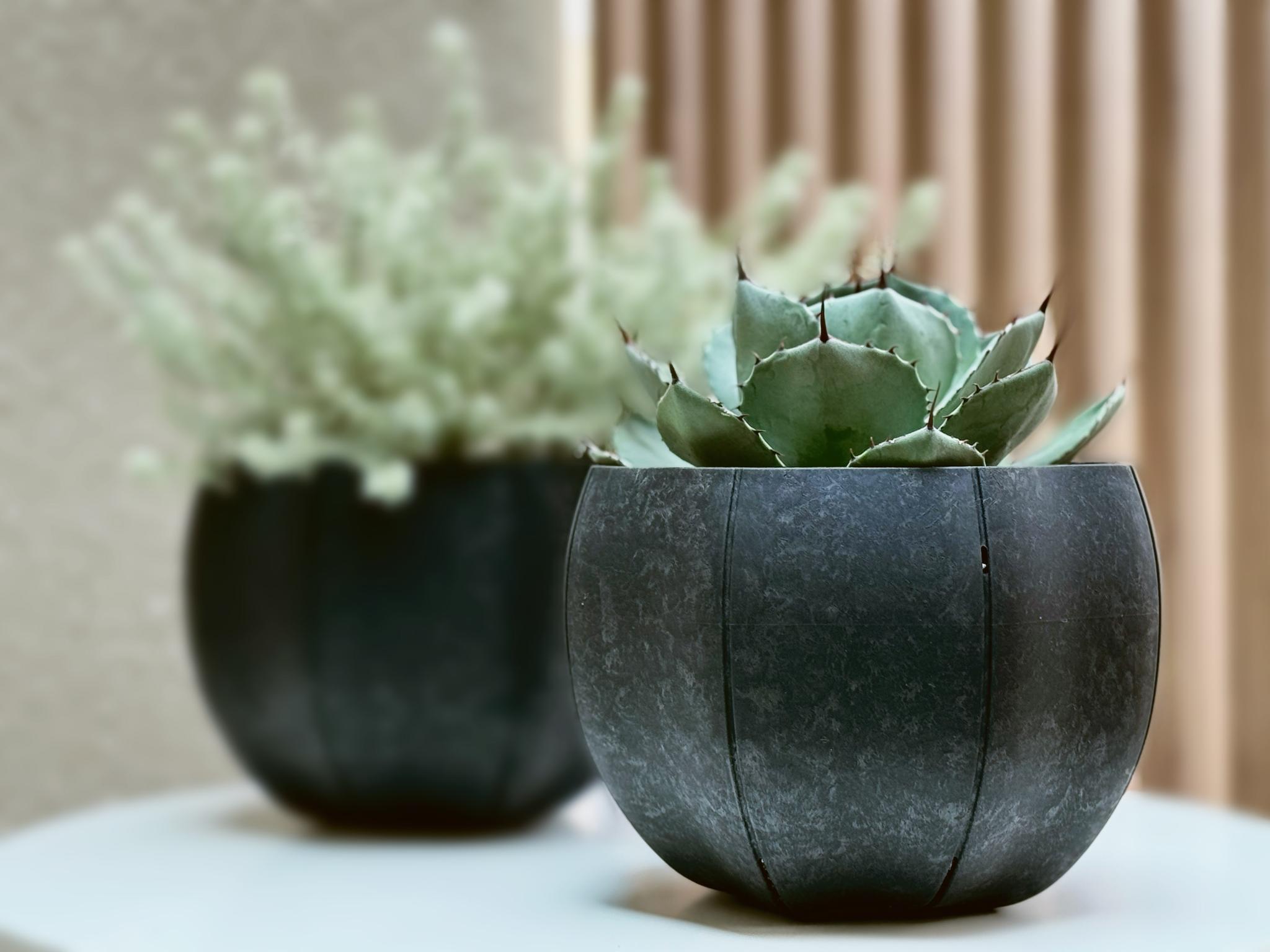 Sen Series Pots