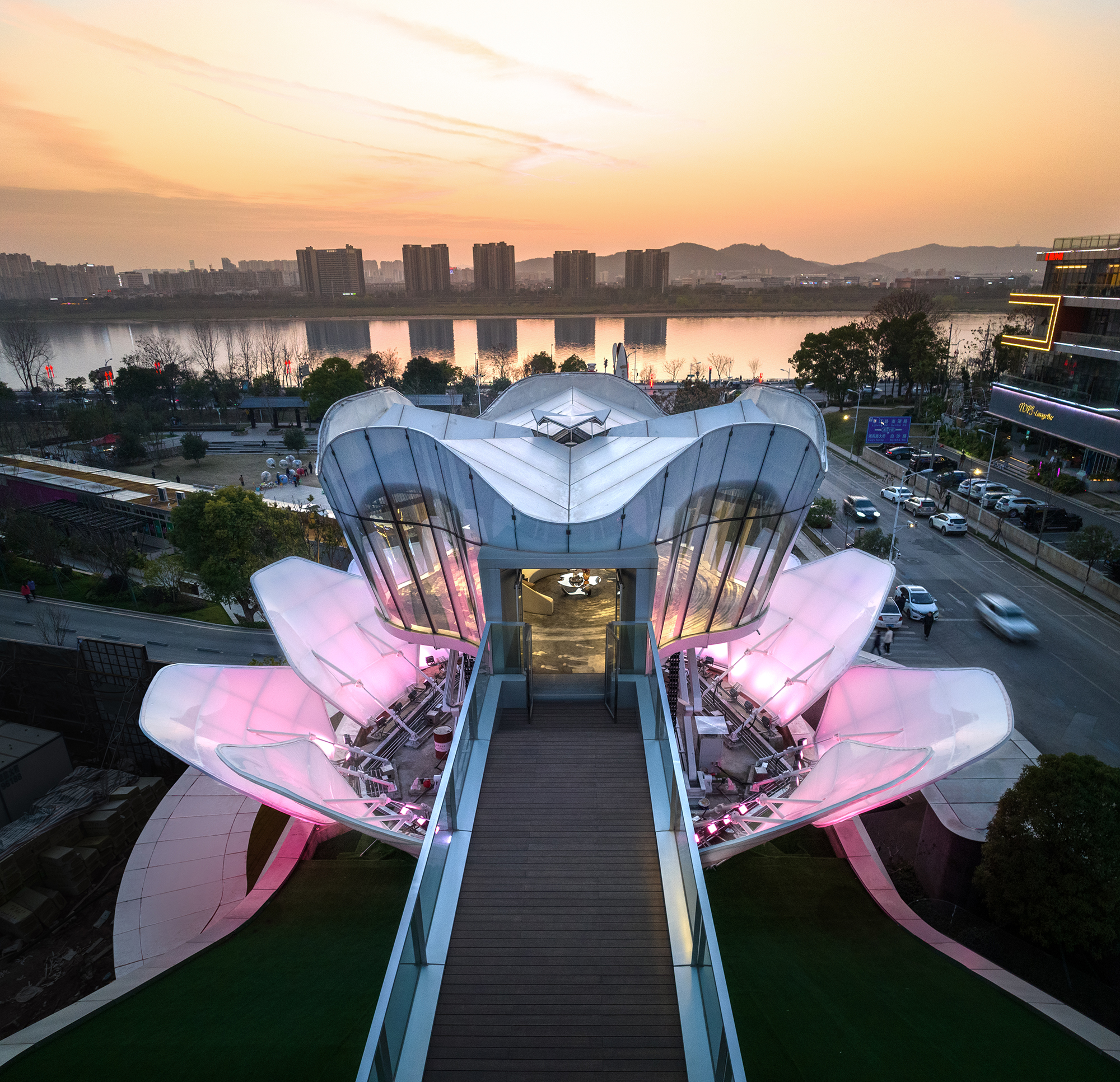 Lotus by the Xiangjiang River in Changsha