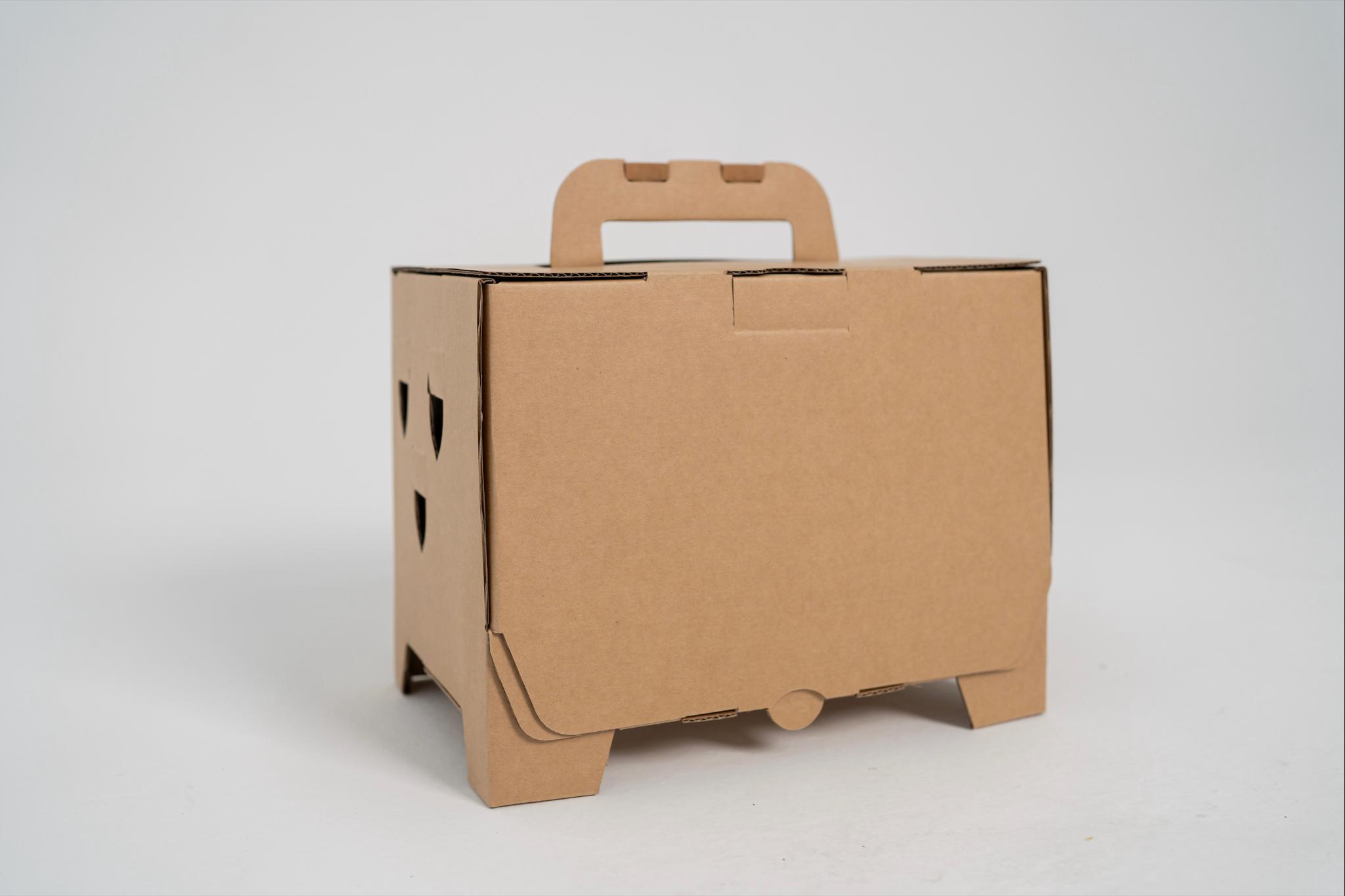 Safe Flight : Wild Bird Rescue & Release ToolBox