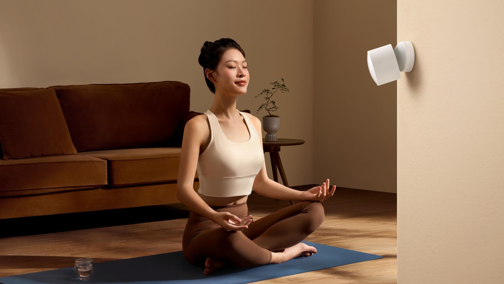 Xiaomi Human Presence Sensor